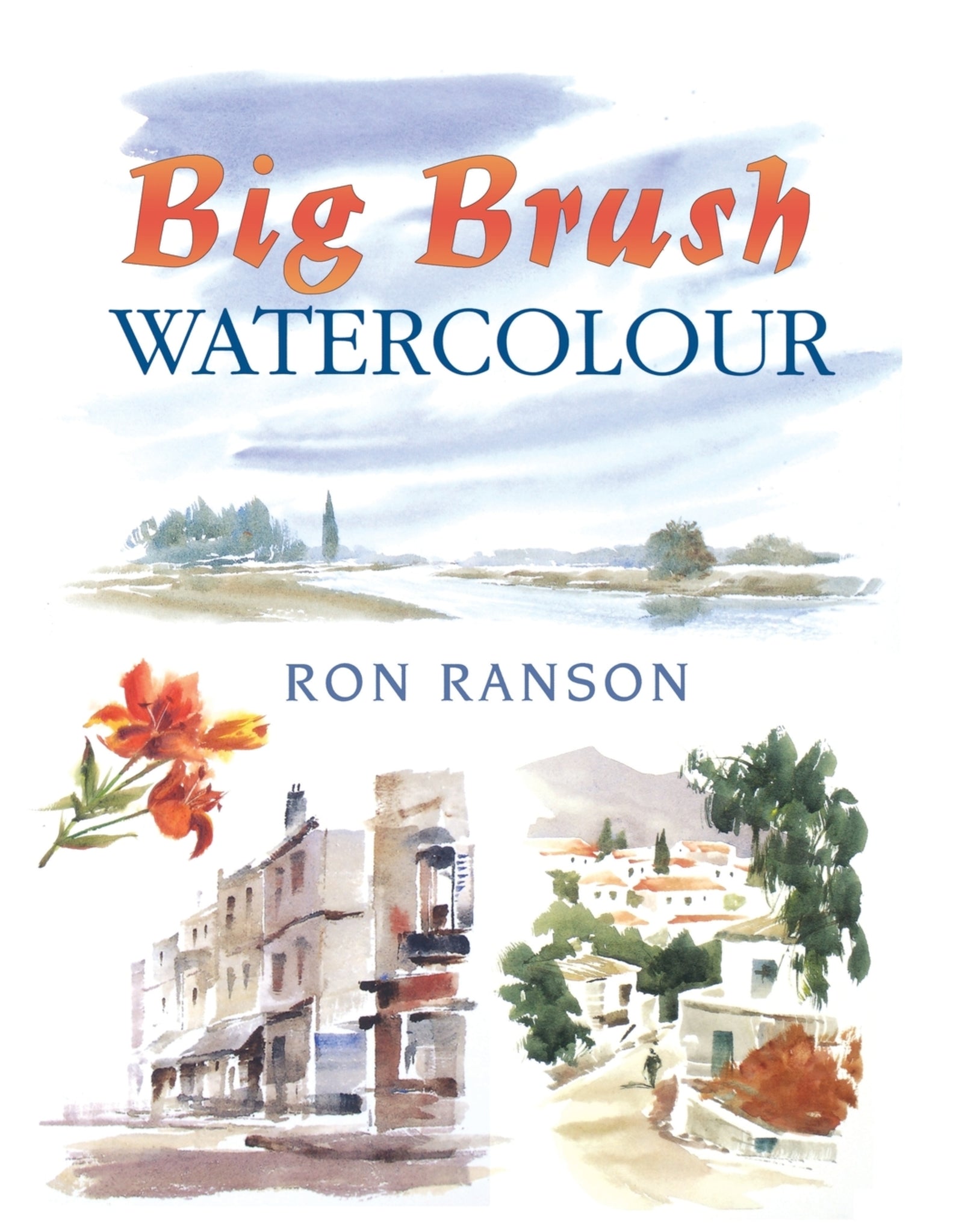 Cover image for Big Brush Watercolor ISBN 9780715301951
