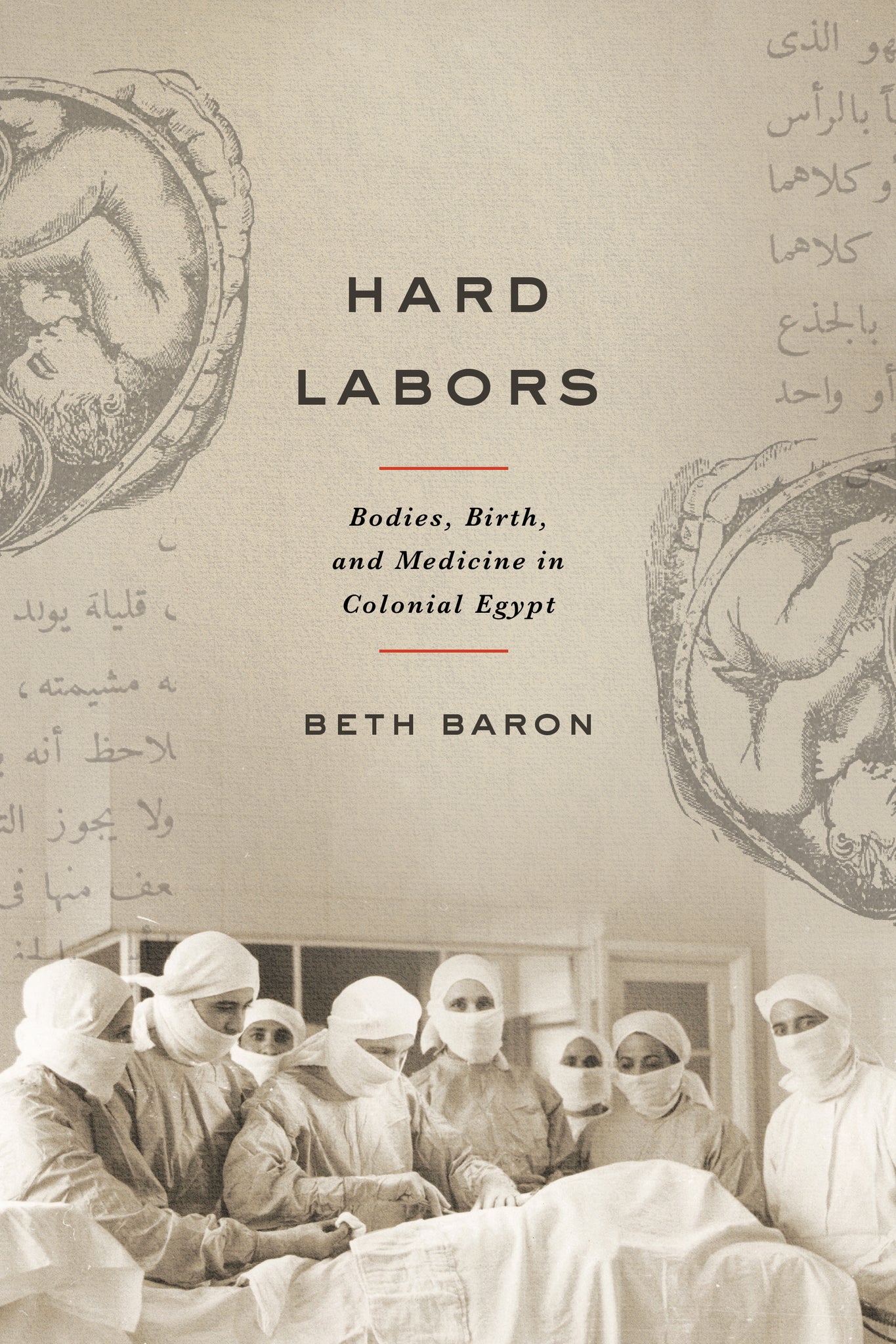 Cover image for Hard Labors ISBN 9781503649224