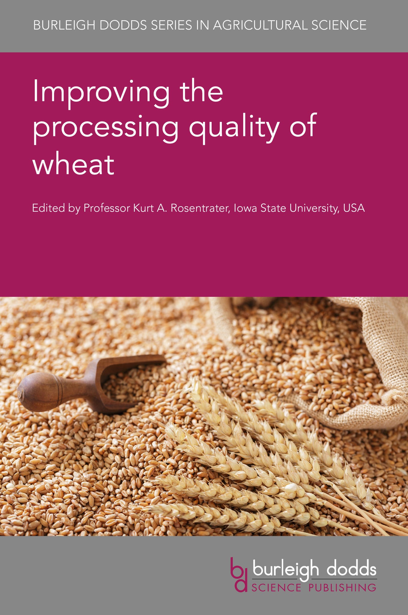 Cover image for Improving the processing quality of wheat ISBN 9781835453513