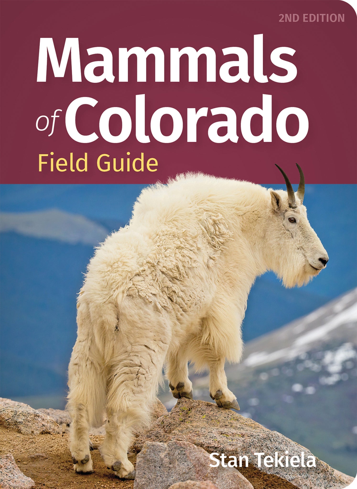 Cover image for Mammals of Colorado Field Guide ISBN 9781647555115