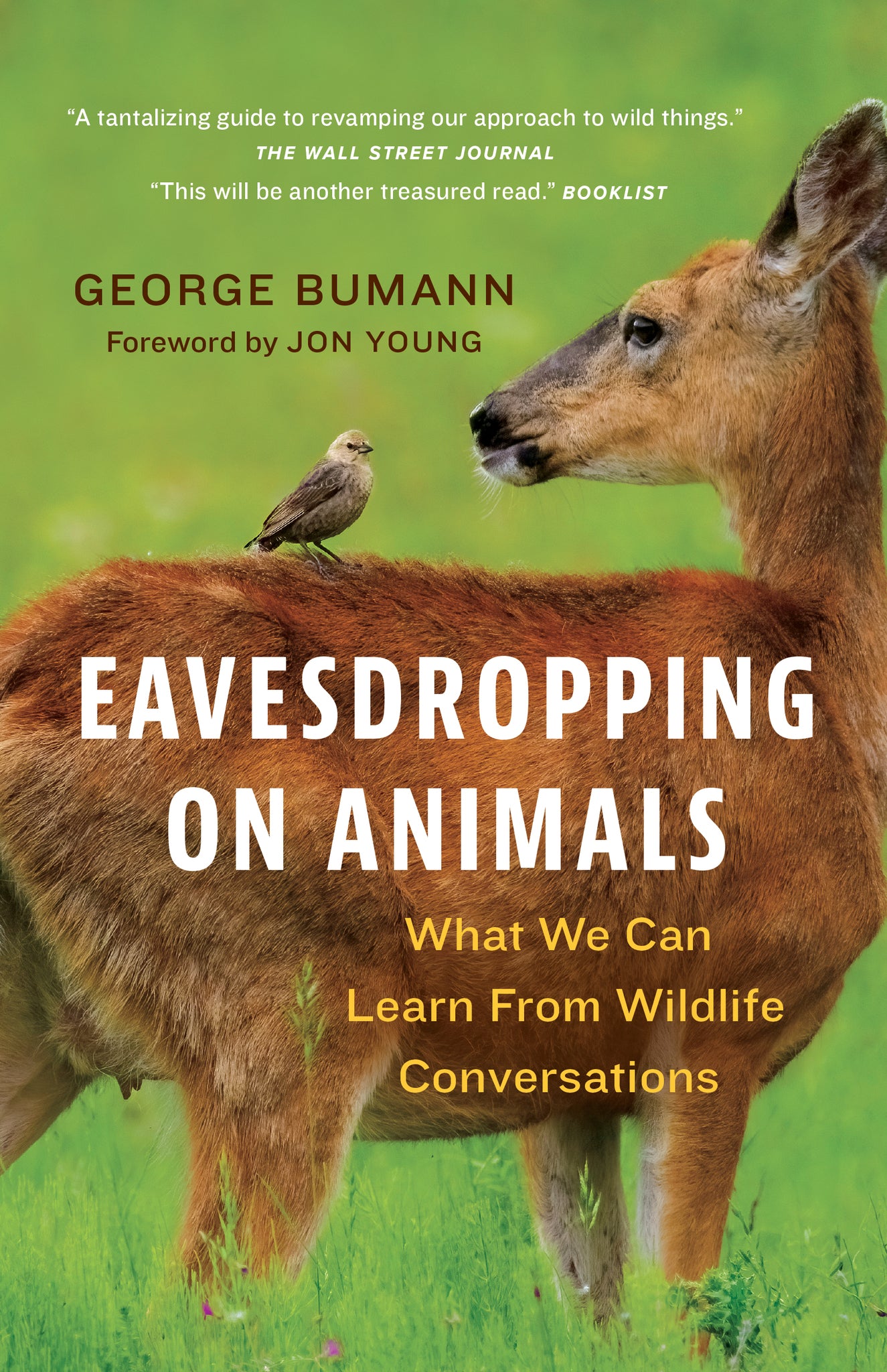 Cover image for Eavesdropping on Animals ISBN 9781778403316