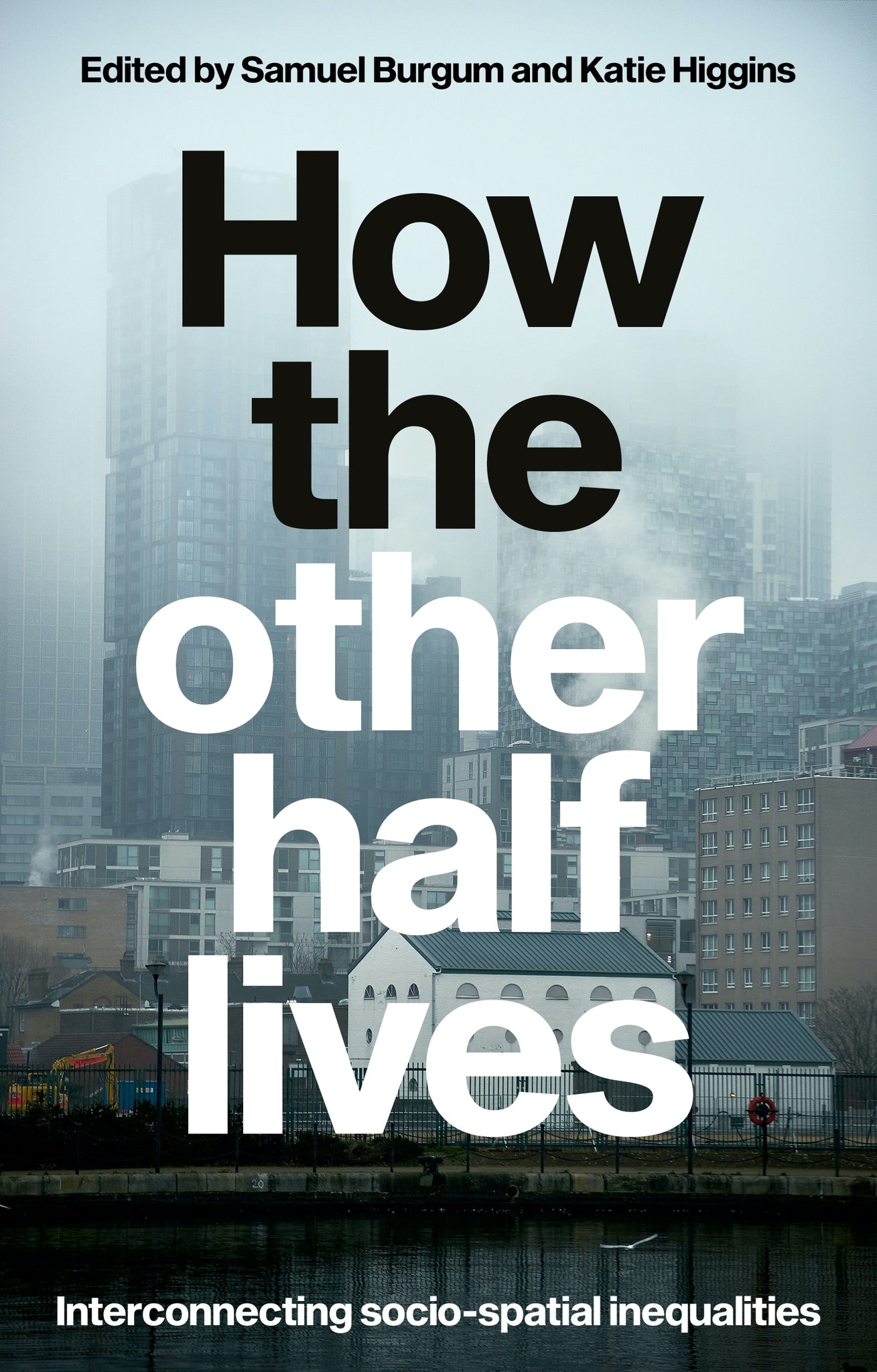 Cover image for How the other half lives ISBN 9781526176752