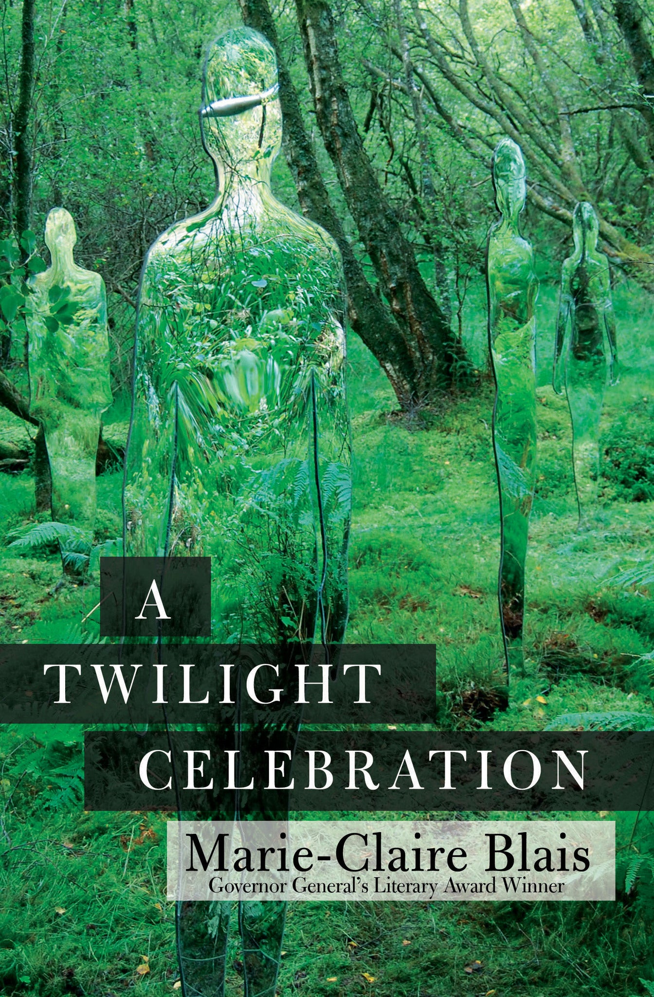 Cover image for A Twilight Celebration ISBN 9781487002480
