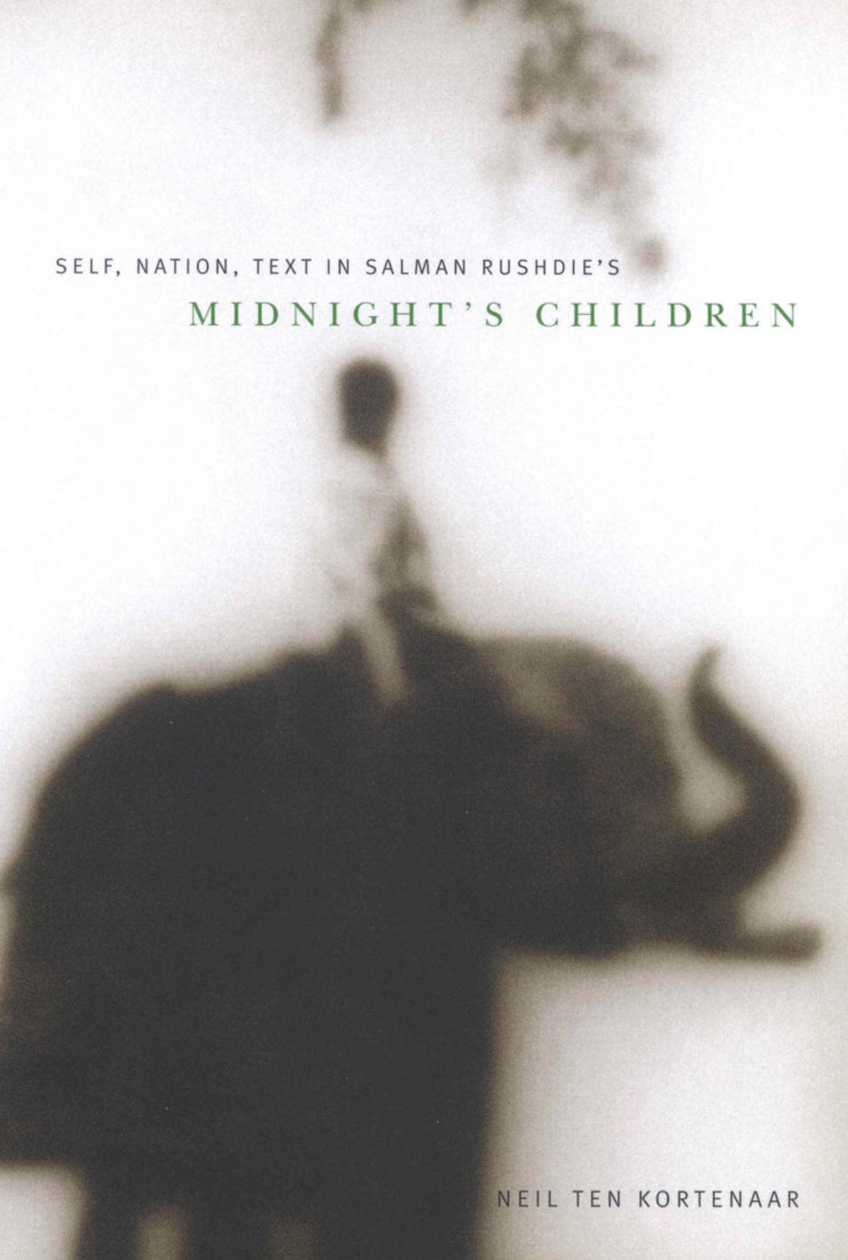 Cover image for Self, Nation, Text in Salman Rushdie's "Midnight's Children" ISBN 9780773571501