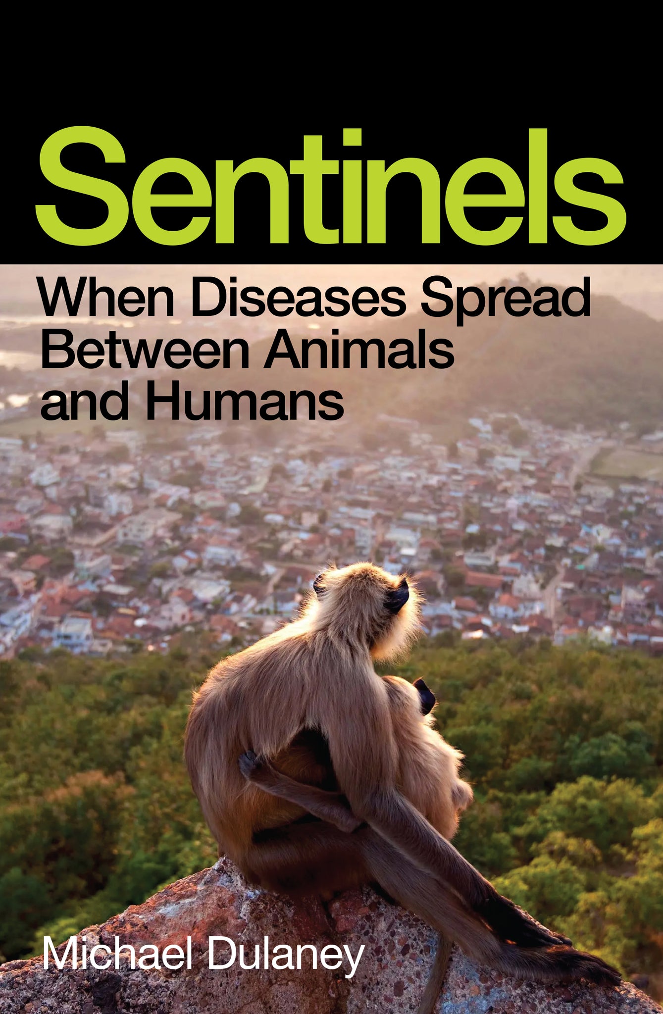 Cover image for Sentinels ISBN 9781964992242