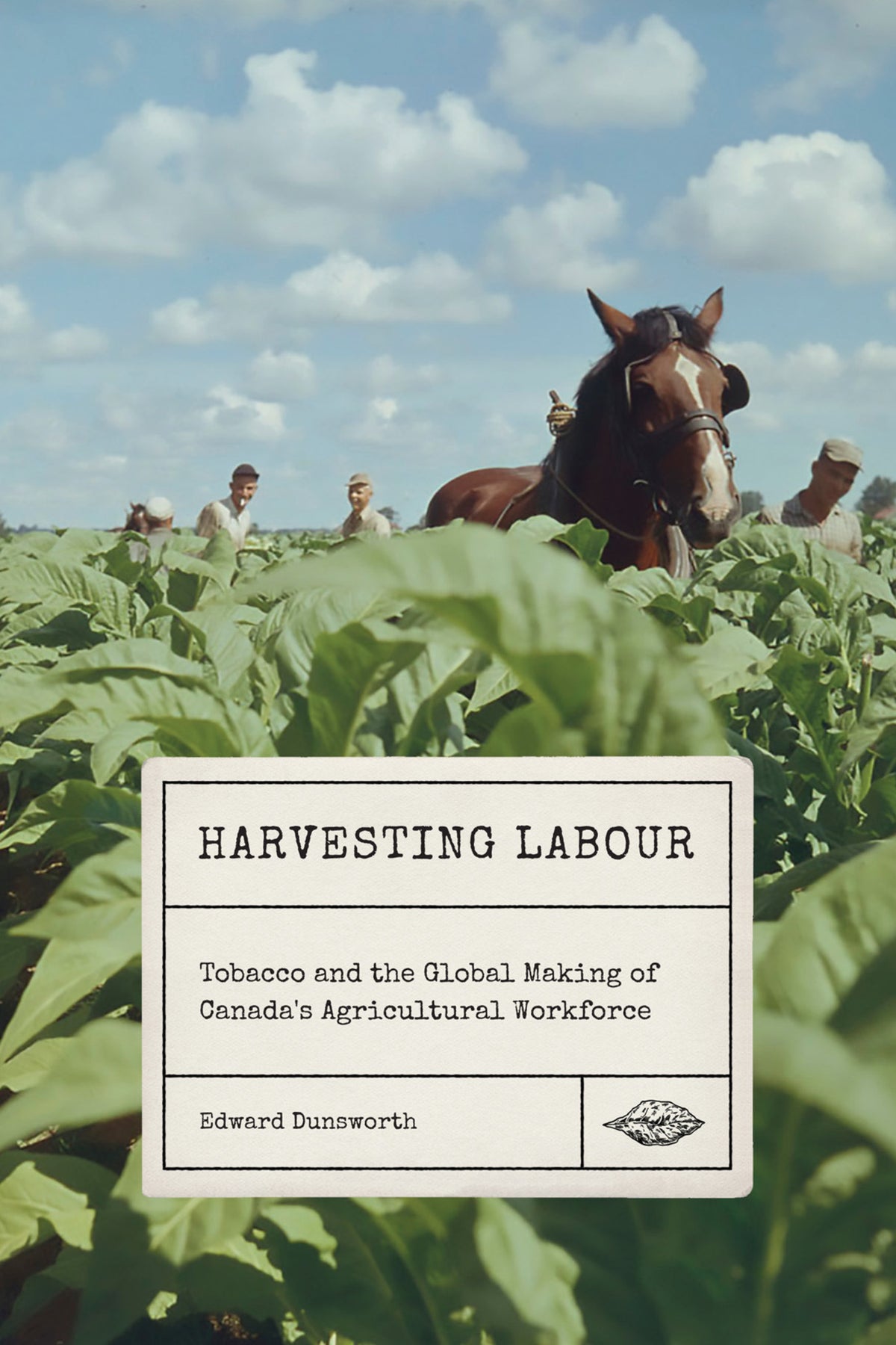 Cover image for Harvesting Labour ISBN 9780228012696