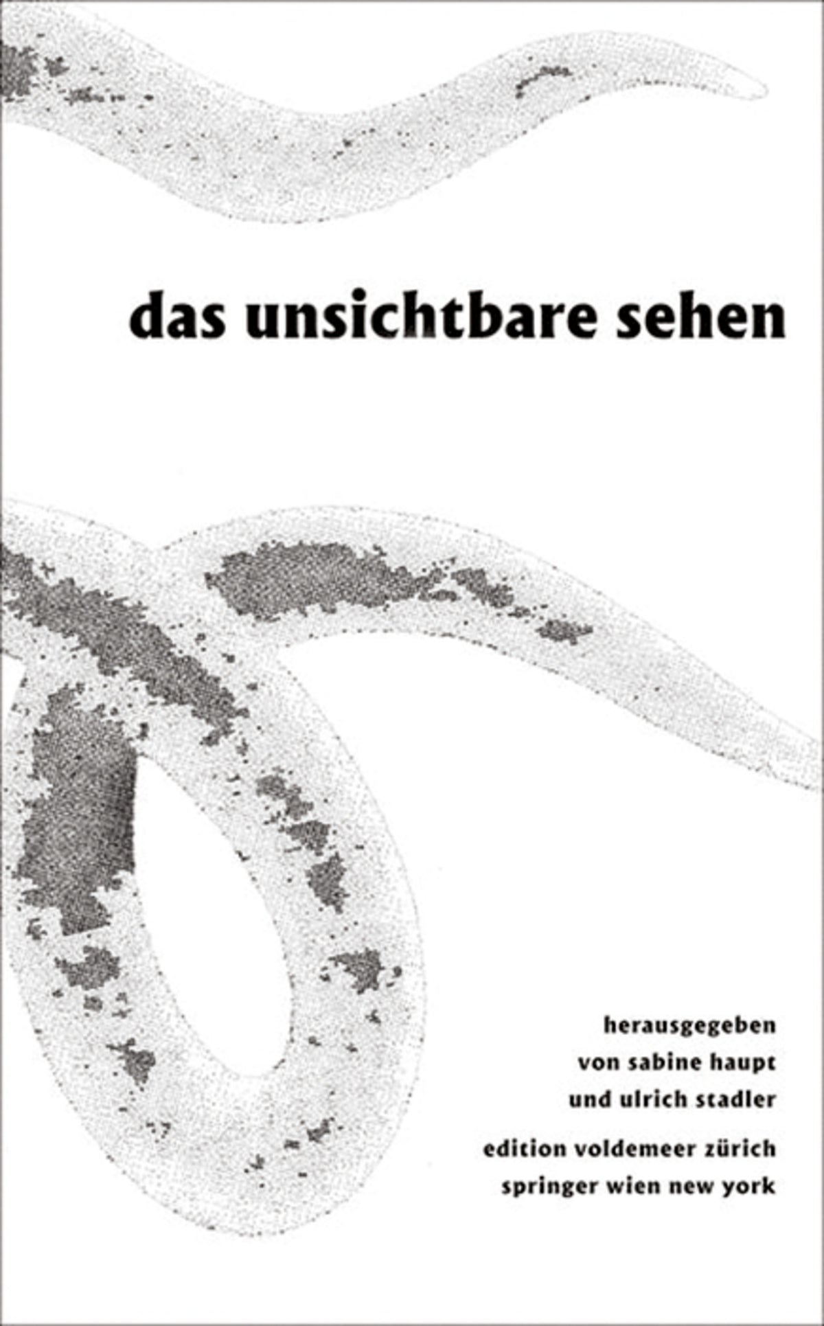 Cover image for Das Unsichtbare sehen ISBN 9783990430934