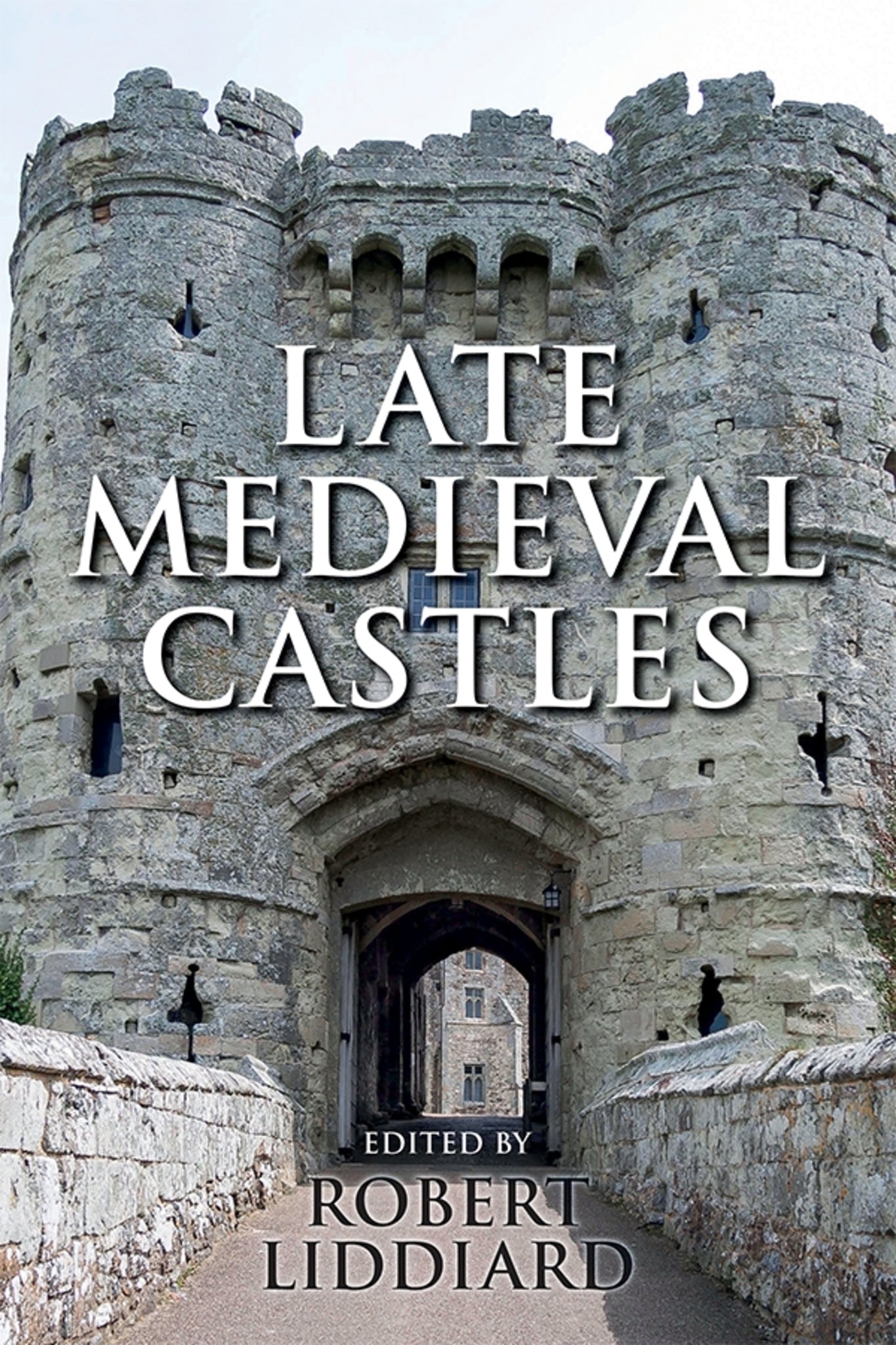 Cover image for Late Medieval Castles ISBN 9781783270330