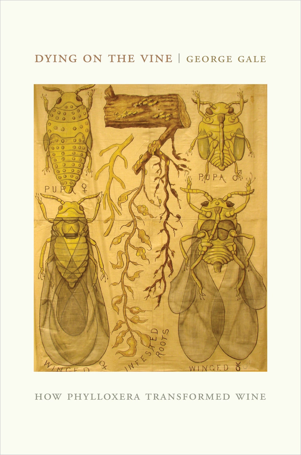 Cover image for Dying on the Vine ISBN 9780520948853