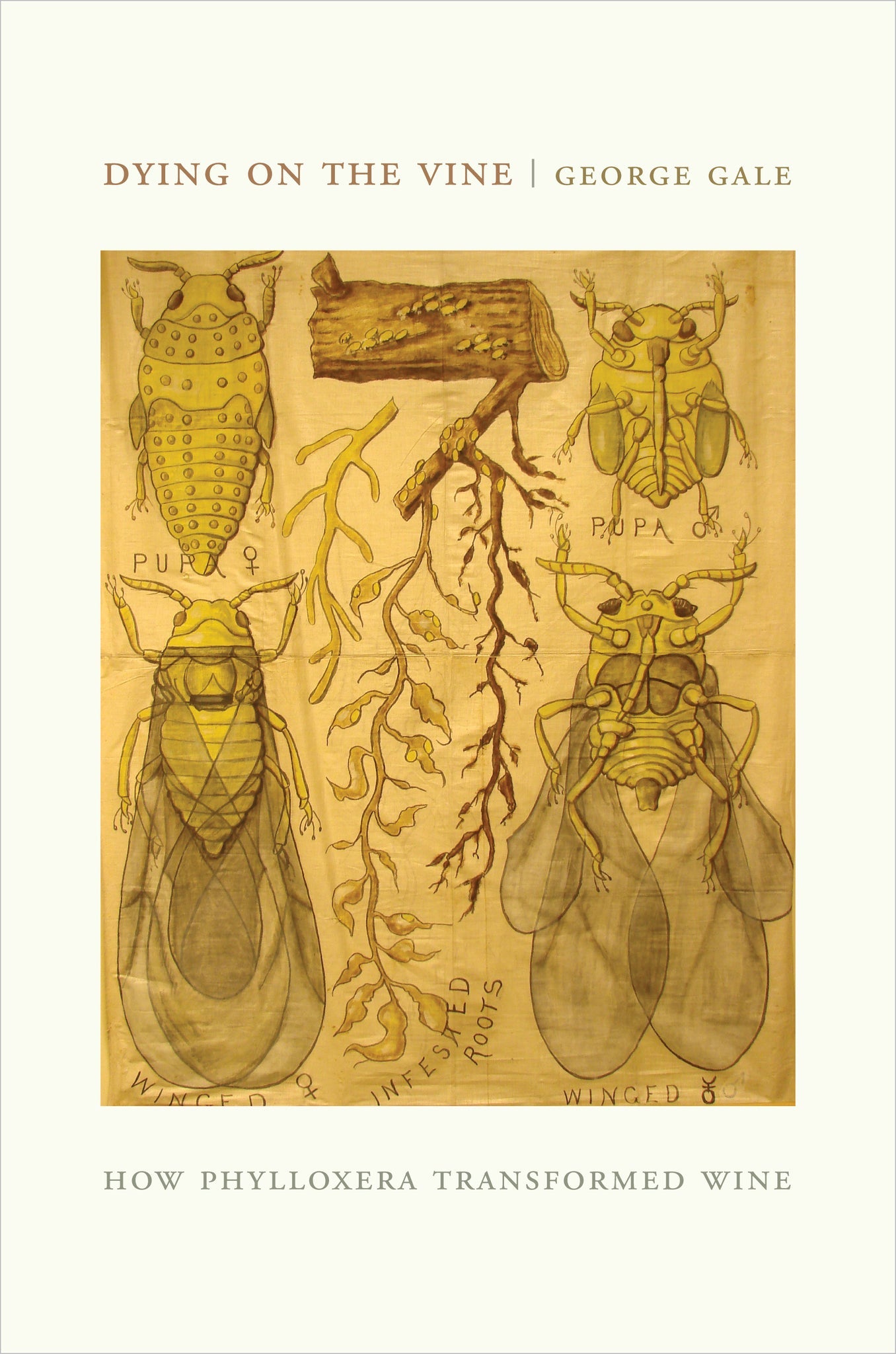 Cover image for Dying on the Vine ISBN 9780520948853