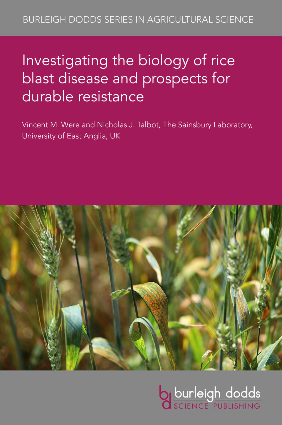 Cover image for Investigating the biology of rice blast disease and prospects for durable resistance ISBN 9781801463065