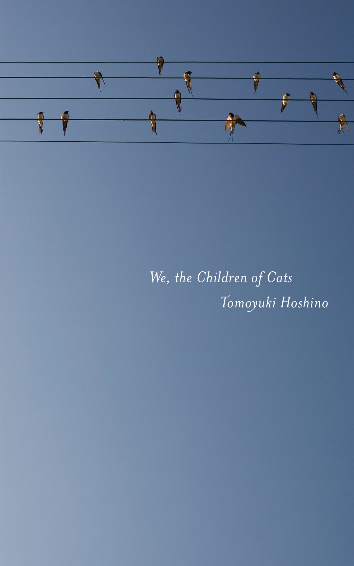 Cover image for We, the Children of Cats ISBN 9781604865912
