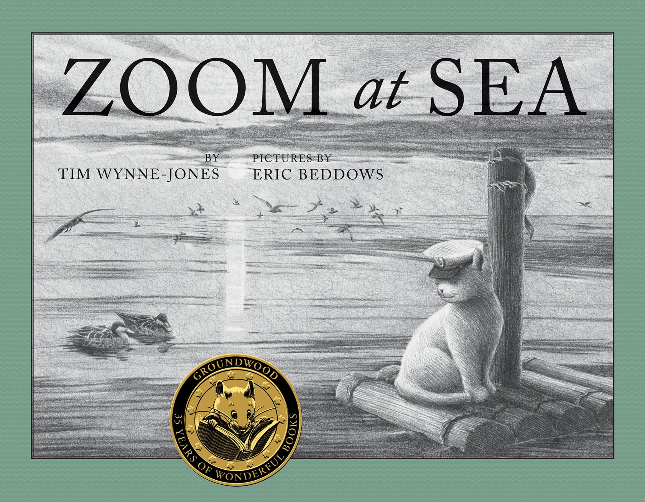 Cover image for Zoom at Sea ISBN 9781554983919