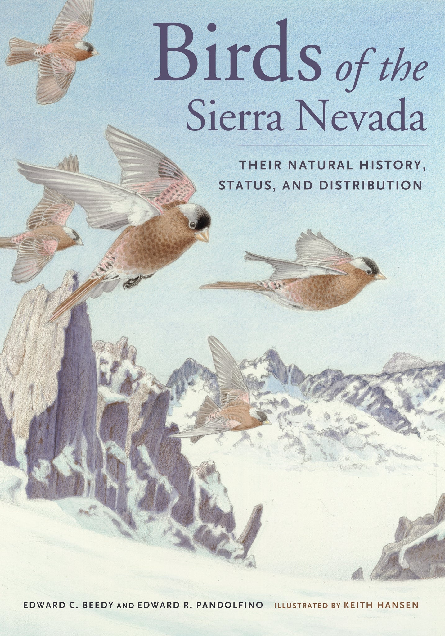 Cover image for Birds of the Sierra Nevada ISBN 9780520954472