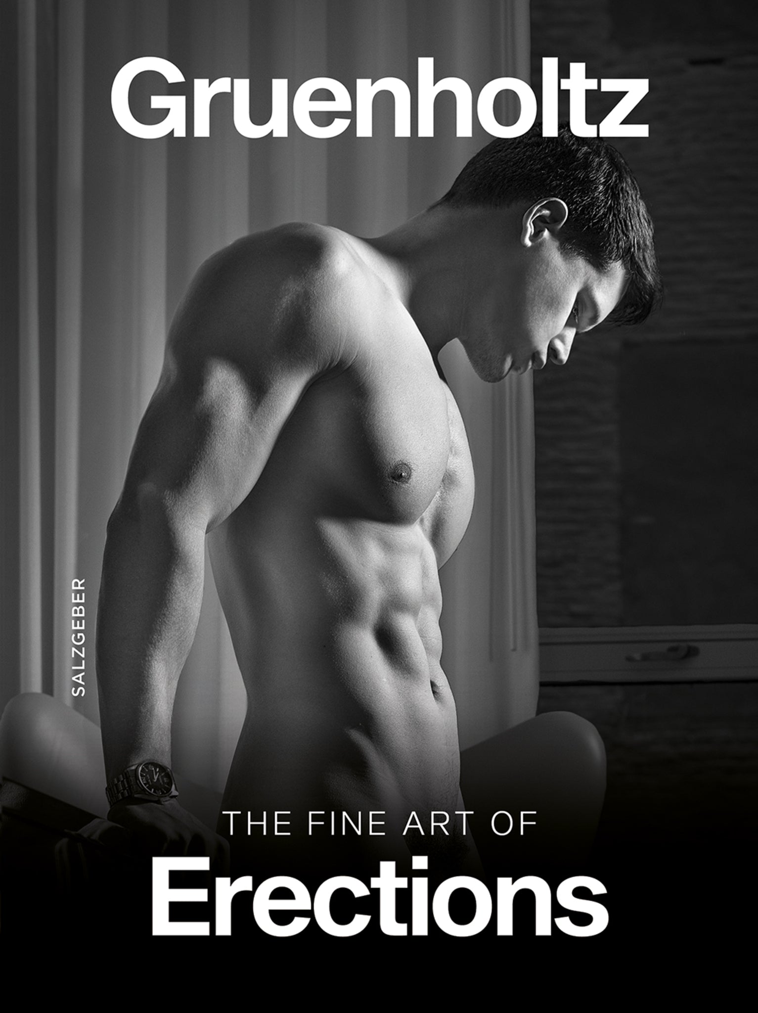 Cover image for The Fine Art of Erections ISBN 9783959856652