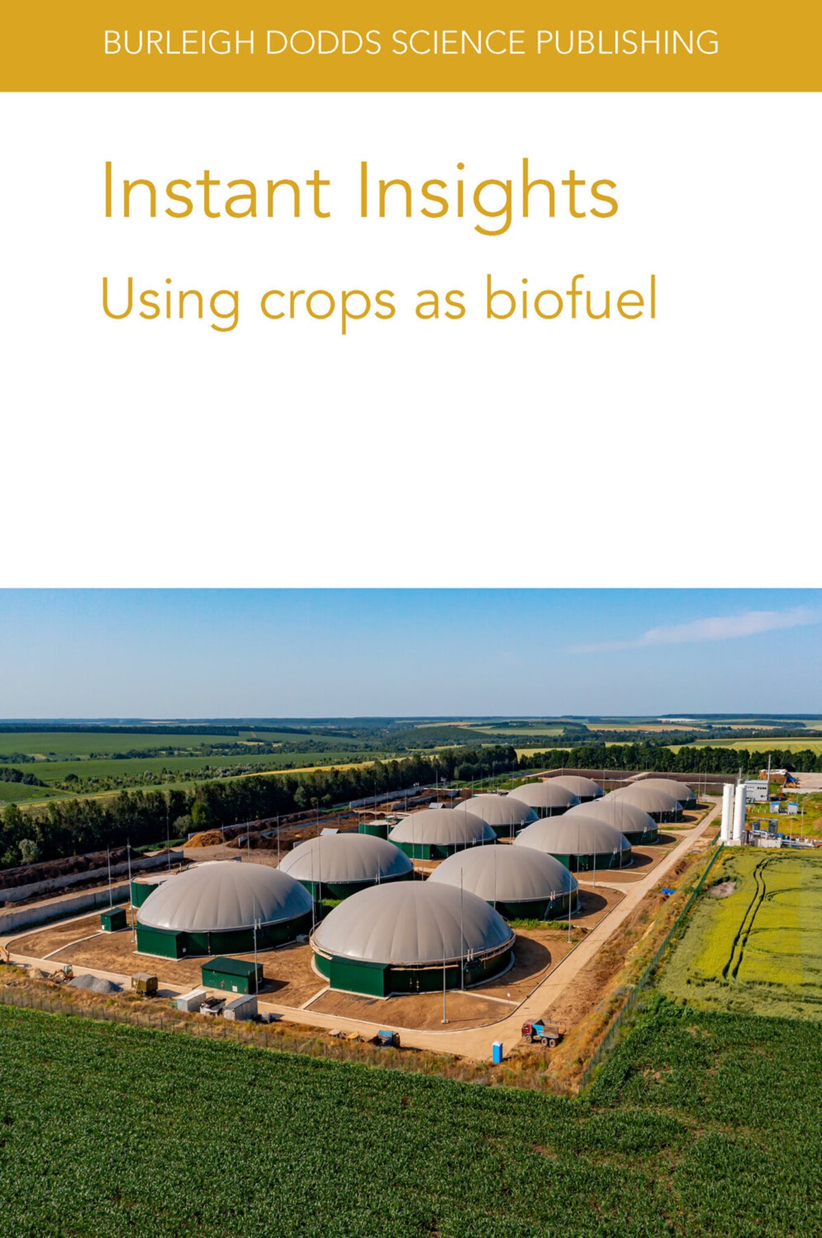 Cover image for Instant Insights: Using crops as biofuel ISBN 9781801462914