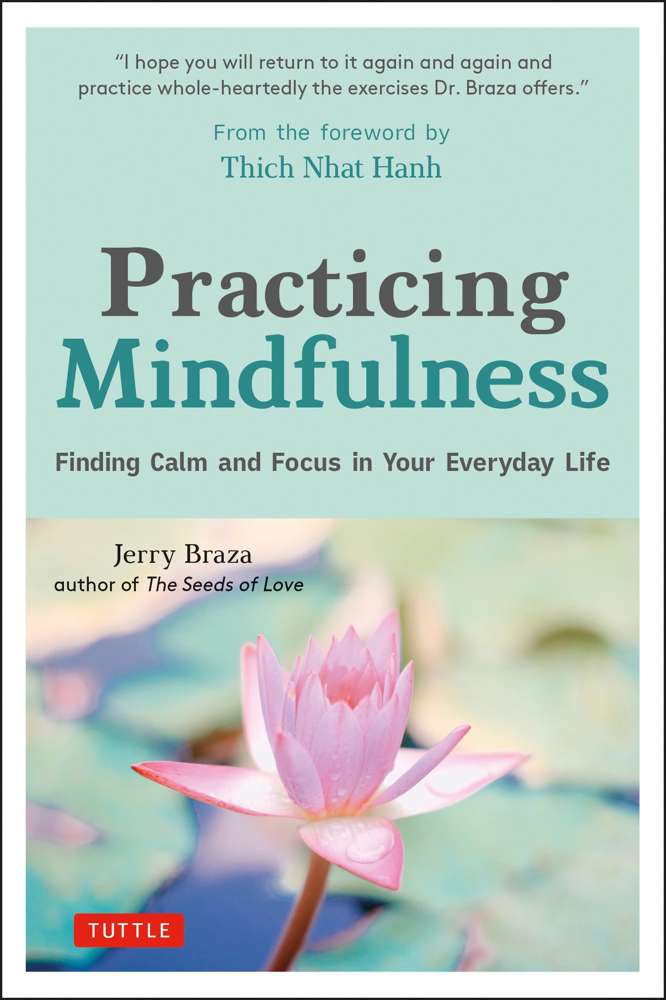 Cover image for Practicing Mindfulness ISBN 9780804852609