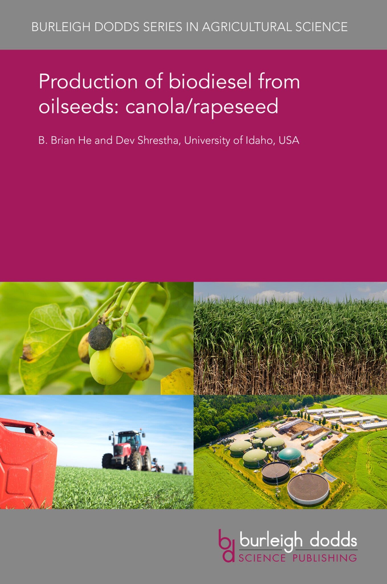 Cover image for Production of biodiesel from oilseeds: canola/rapeseed ISBN 9781786766298