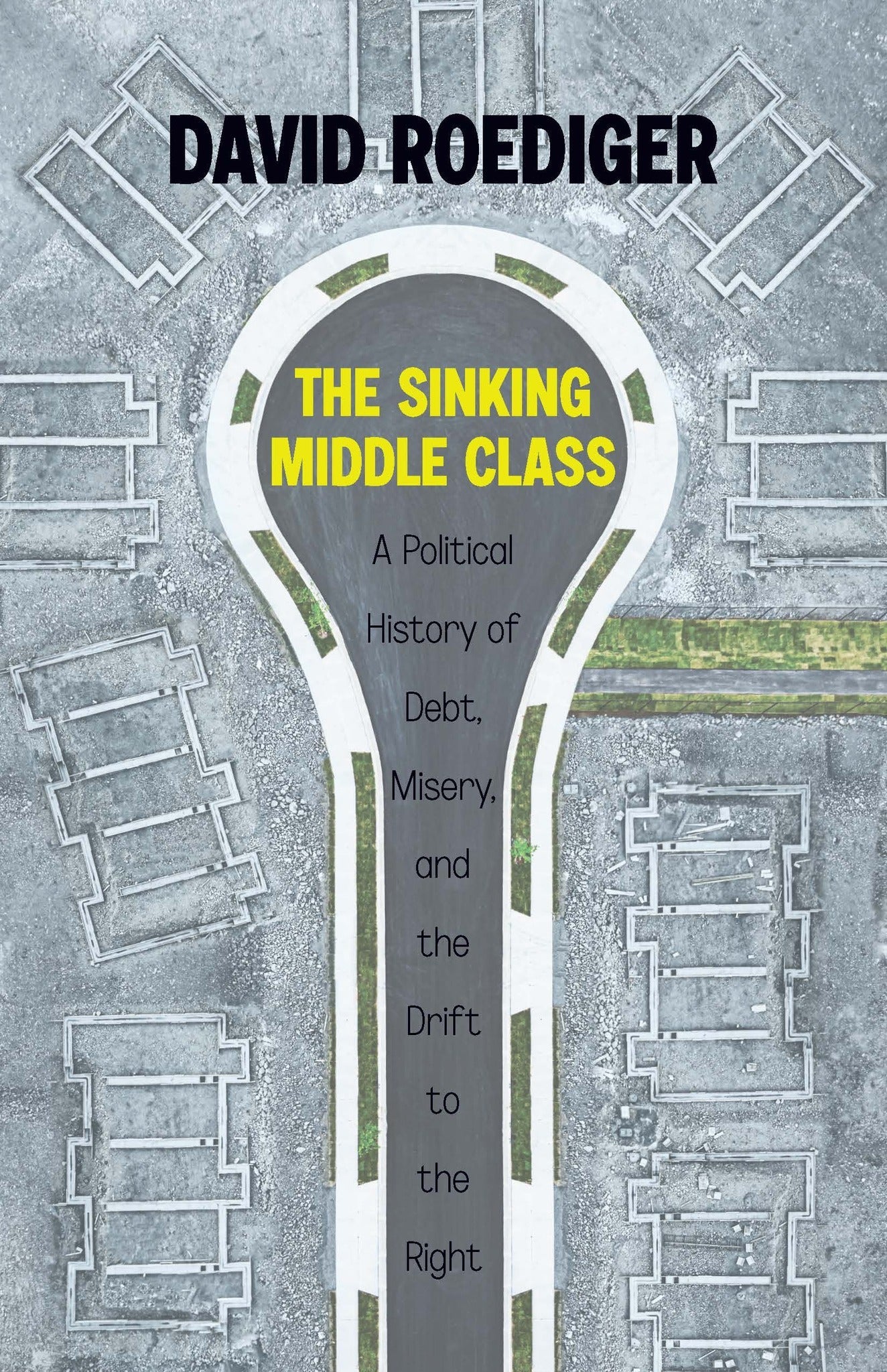 Cover image for The Sinking Middle Class ISBN 9781642597486