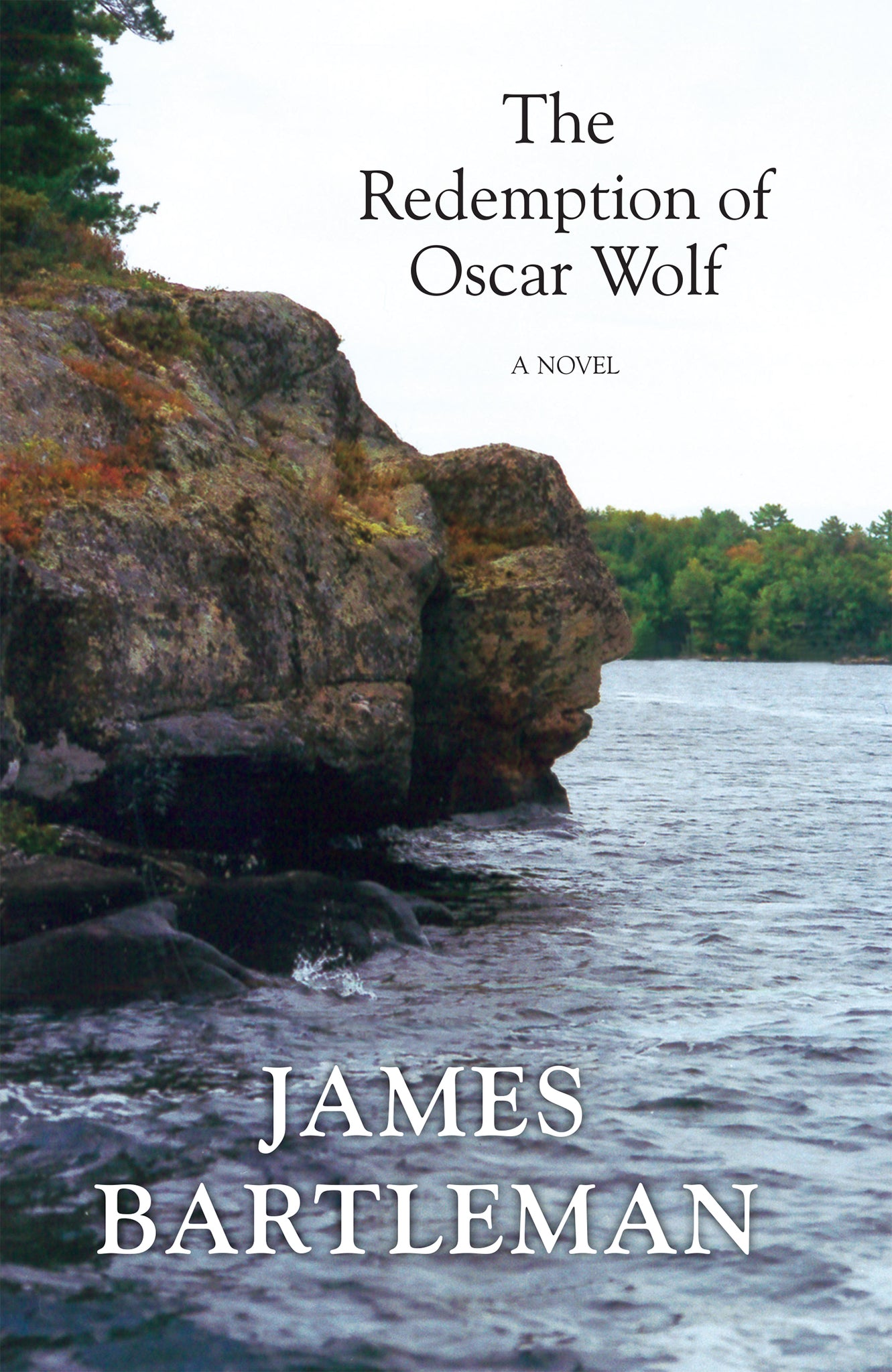 Cover image for The Redemption of Oscar Wolf ISBN 9781459709829