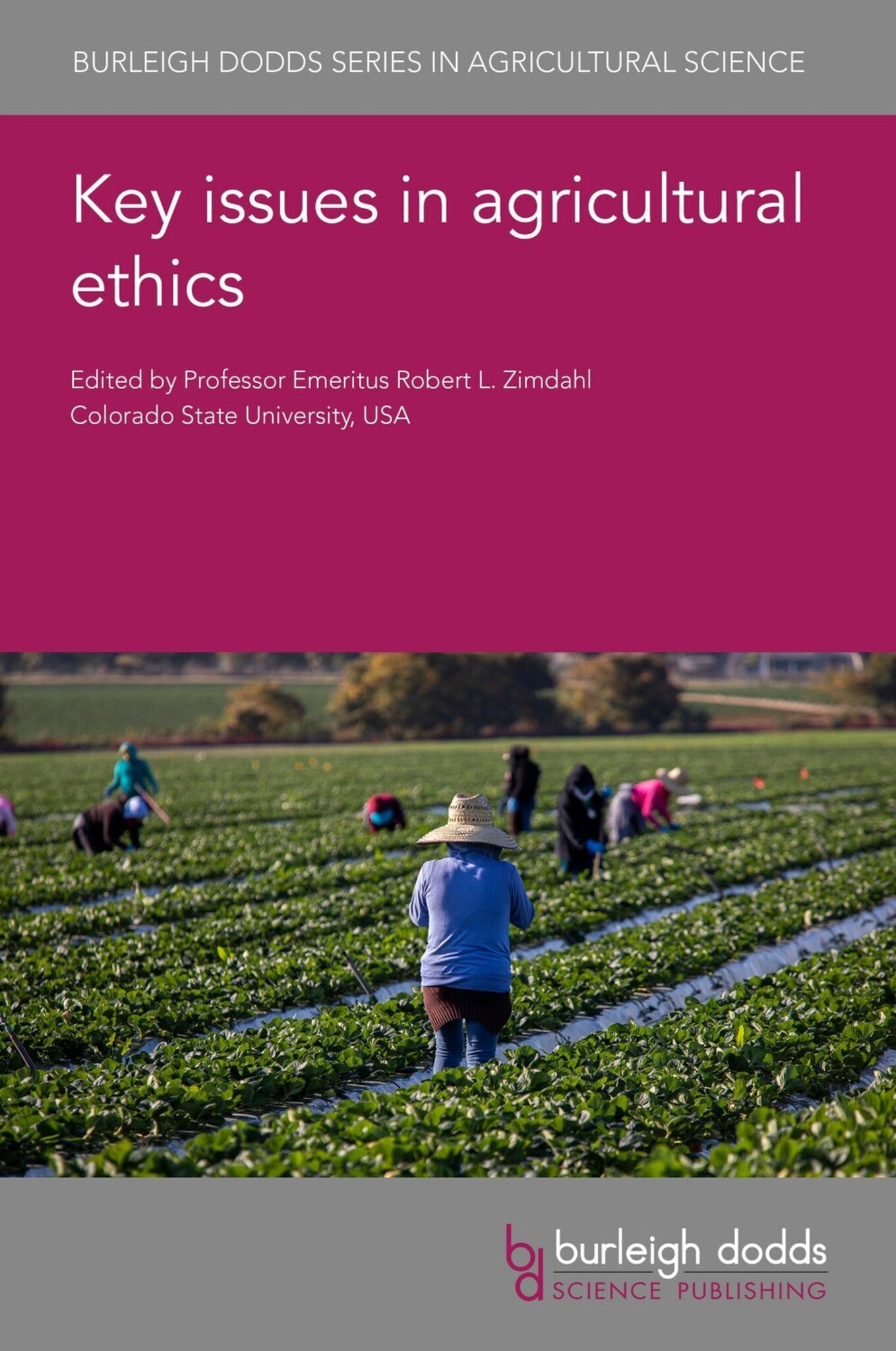 Cover image for Key issues in agricultural ethics ISBN 9781801463140
