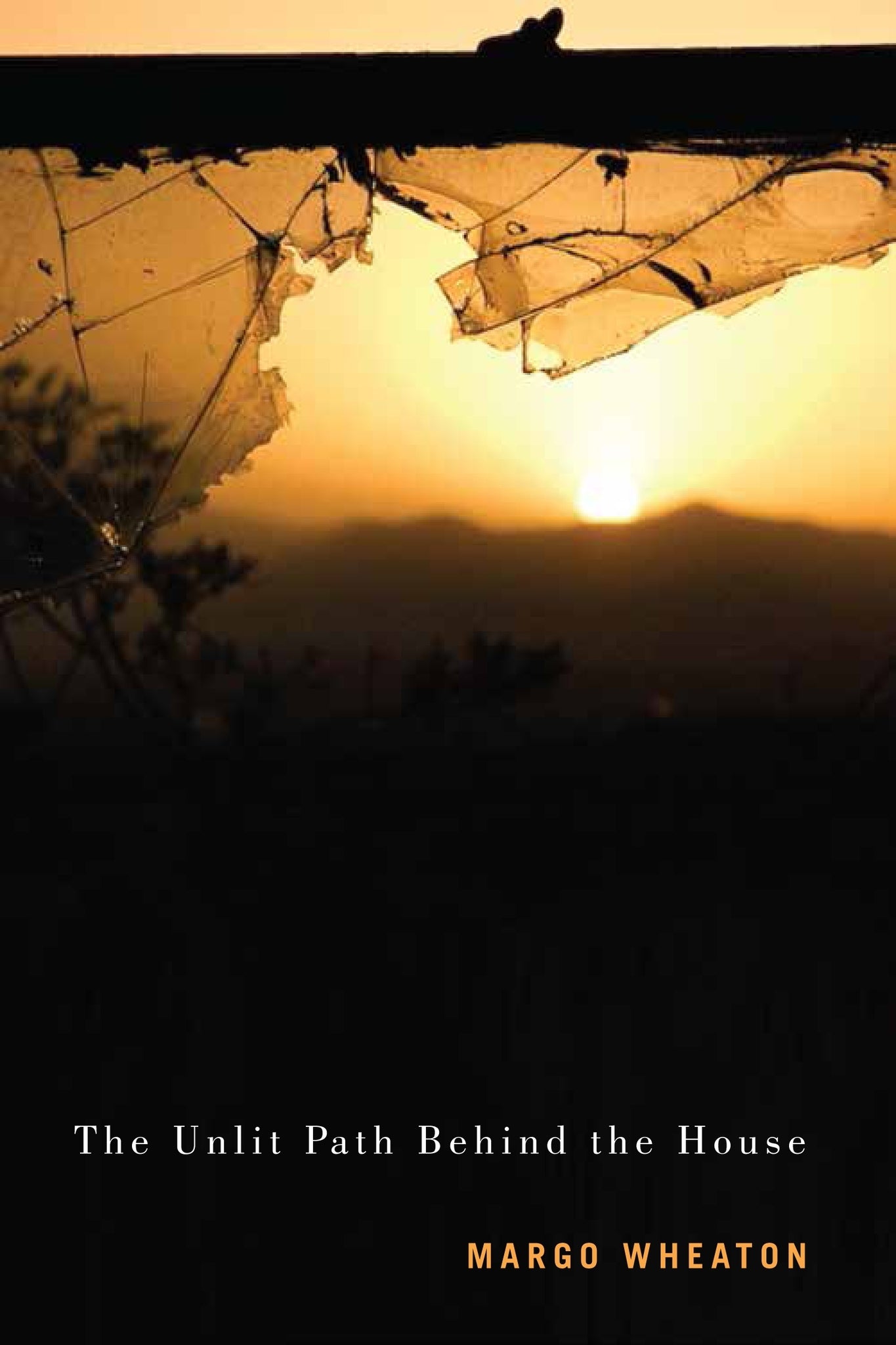 Cover image for The Unlit Path Behind the House ISBN 9780773546776