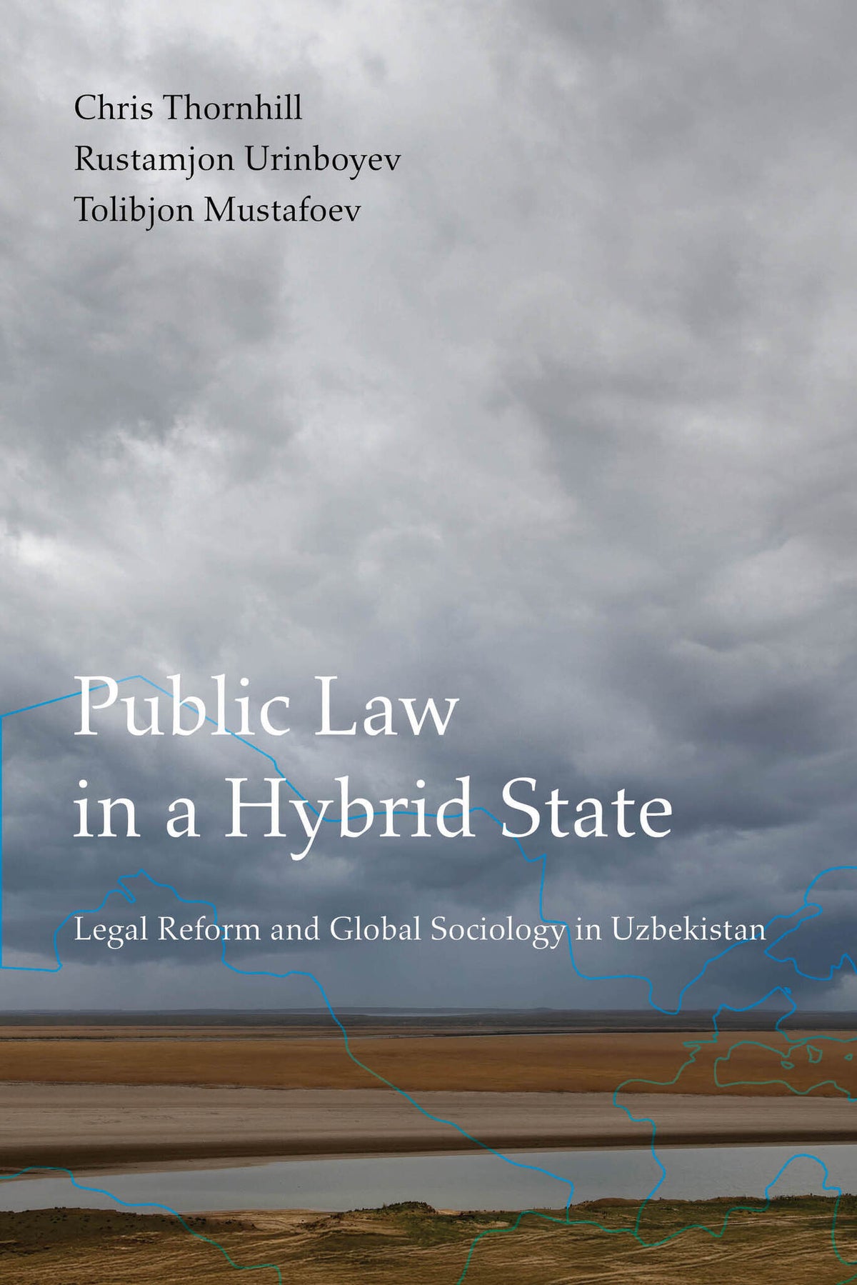 Cover image for Public Law in a Hybrid State ISBN 9780520425460