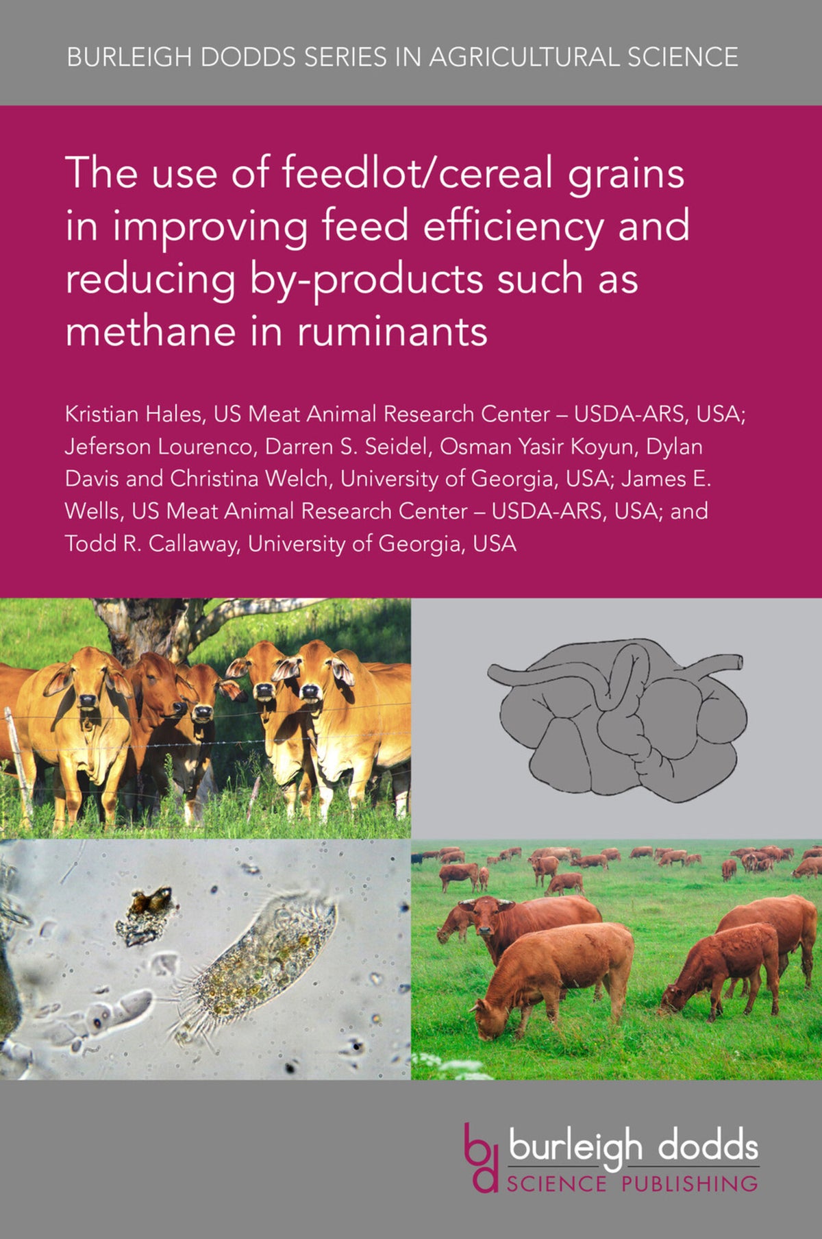 Cover image for The use of feedlot/cereal grains in improving feed efficiency and reducing by-products such as methane in ruminants ISBN 9781786768094