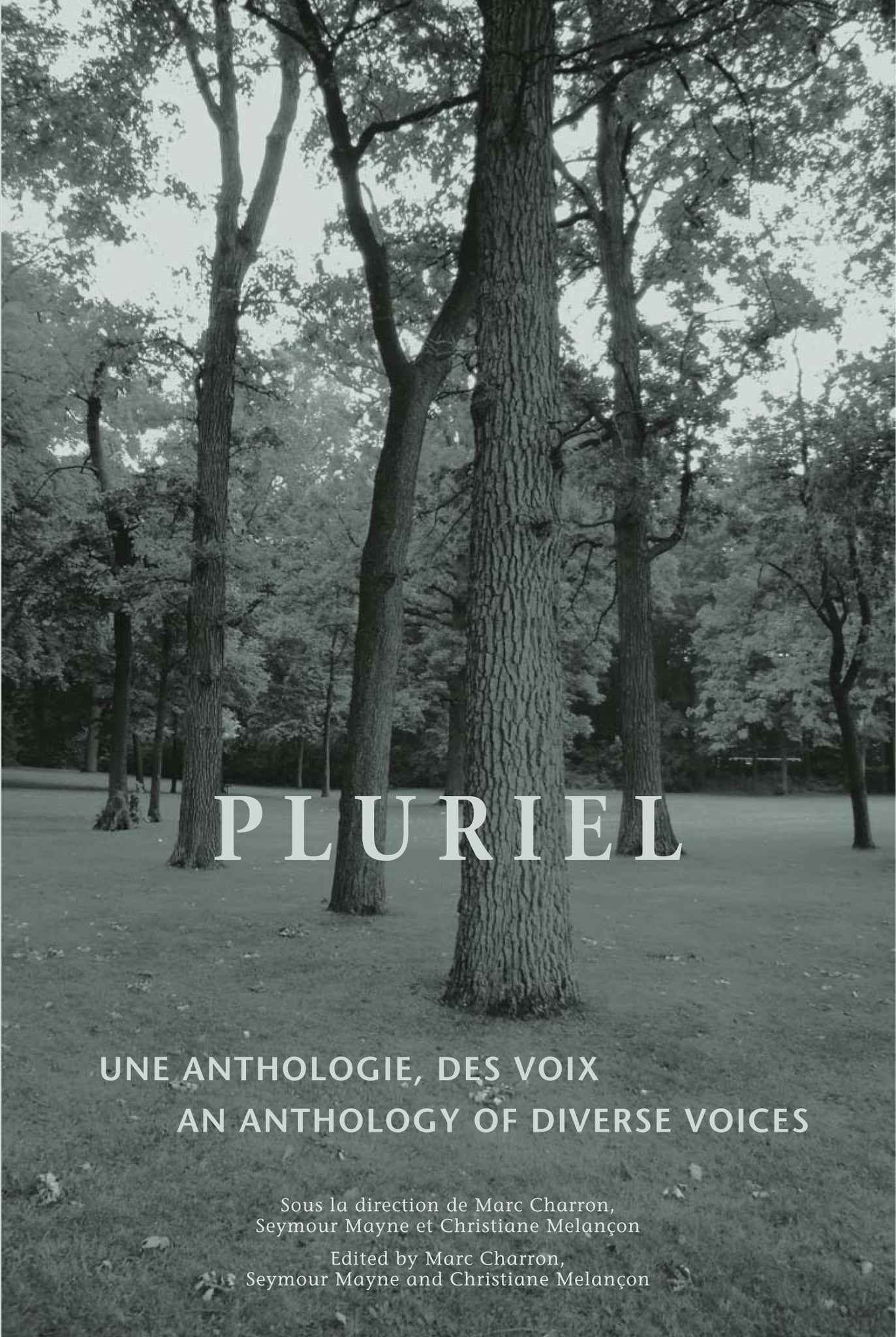 Cover image for Pluriel ISBN 9780776606118