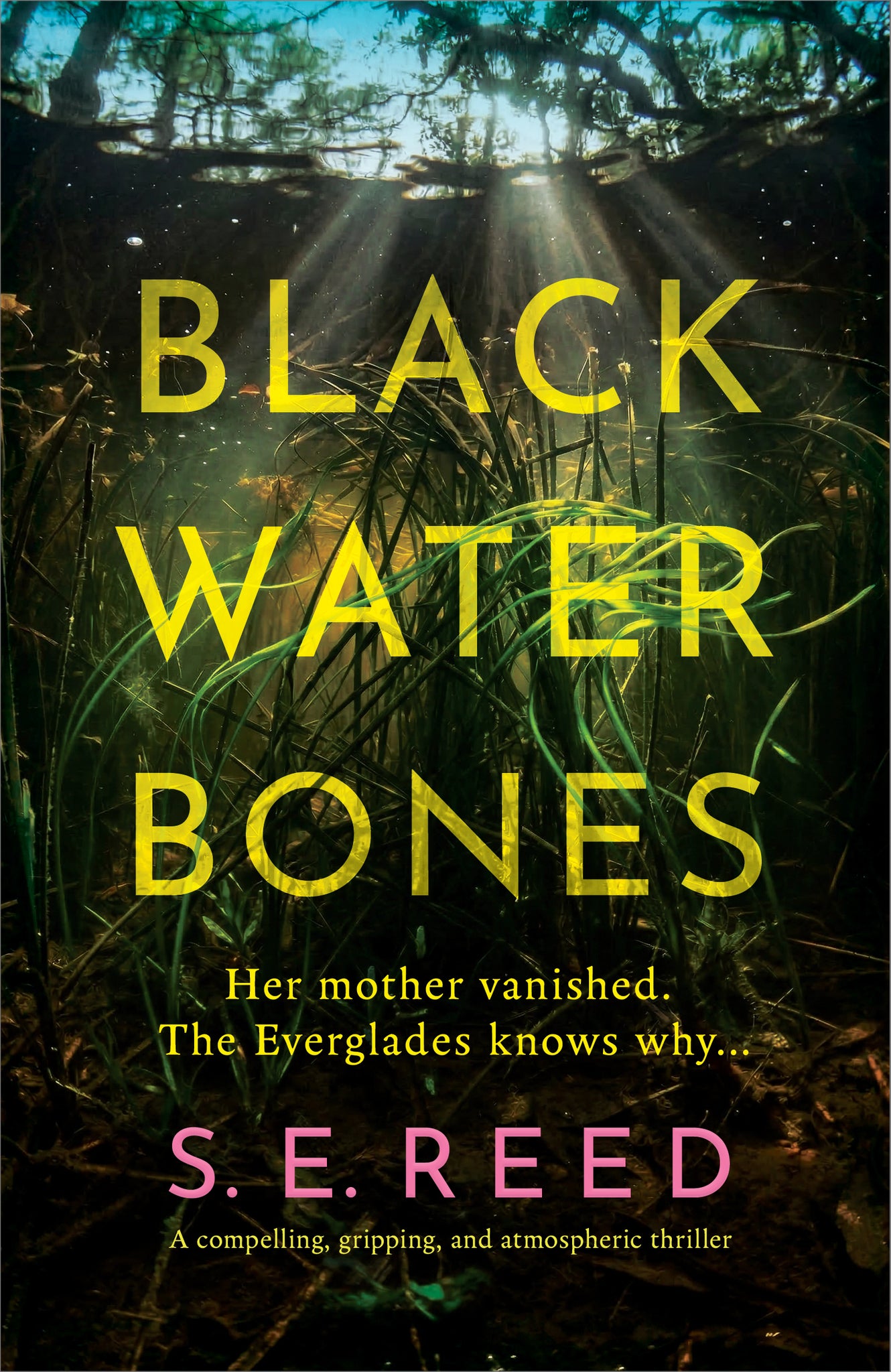 Black Water Bones
