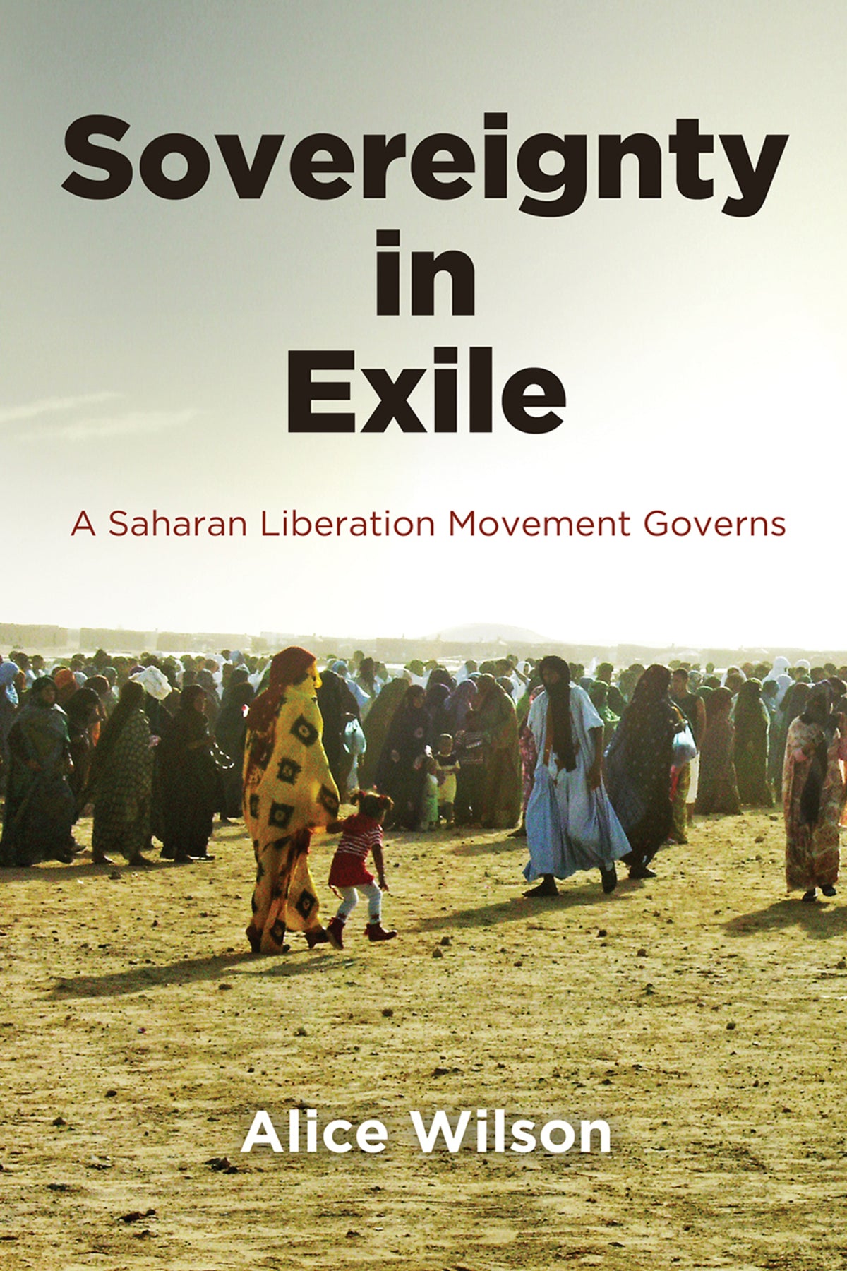 Cover image for Sovereignty in Exile ISBN 9780812248494