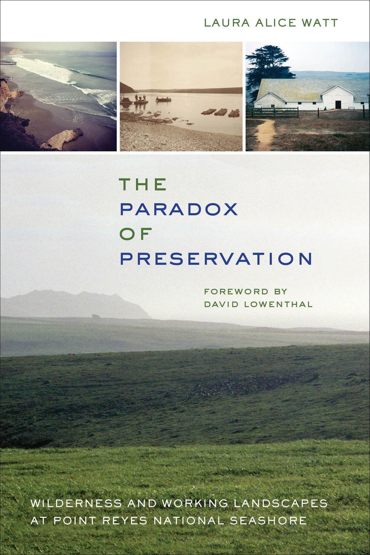 Cover image for The Paradox of Preservation ISBN 9780520277083