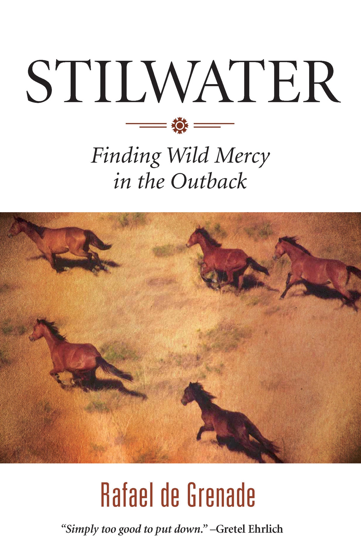 Cover image for Stilwater ISBN 9781571313140