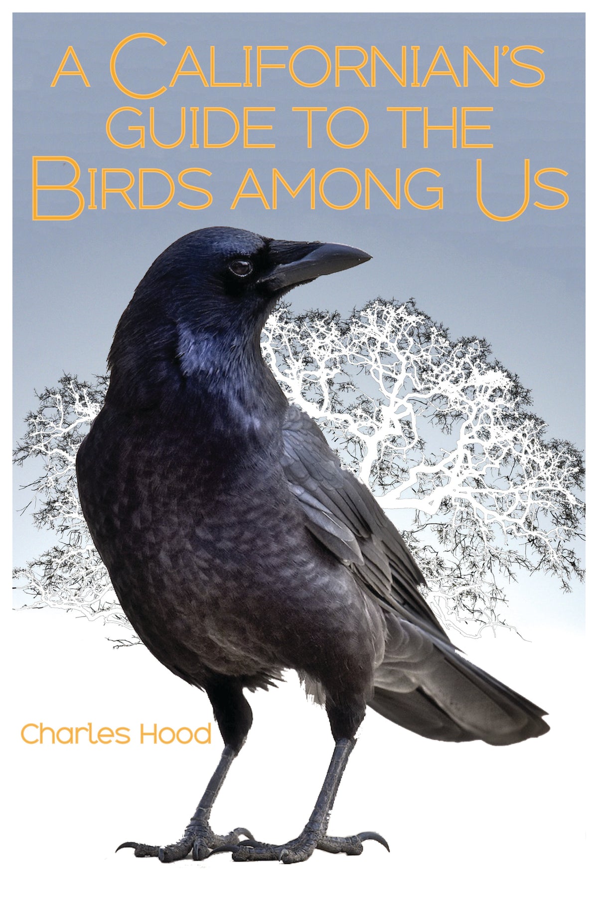 Cover image for A Californian's Guide to the Birds Among Us ISBN 9781597143837