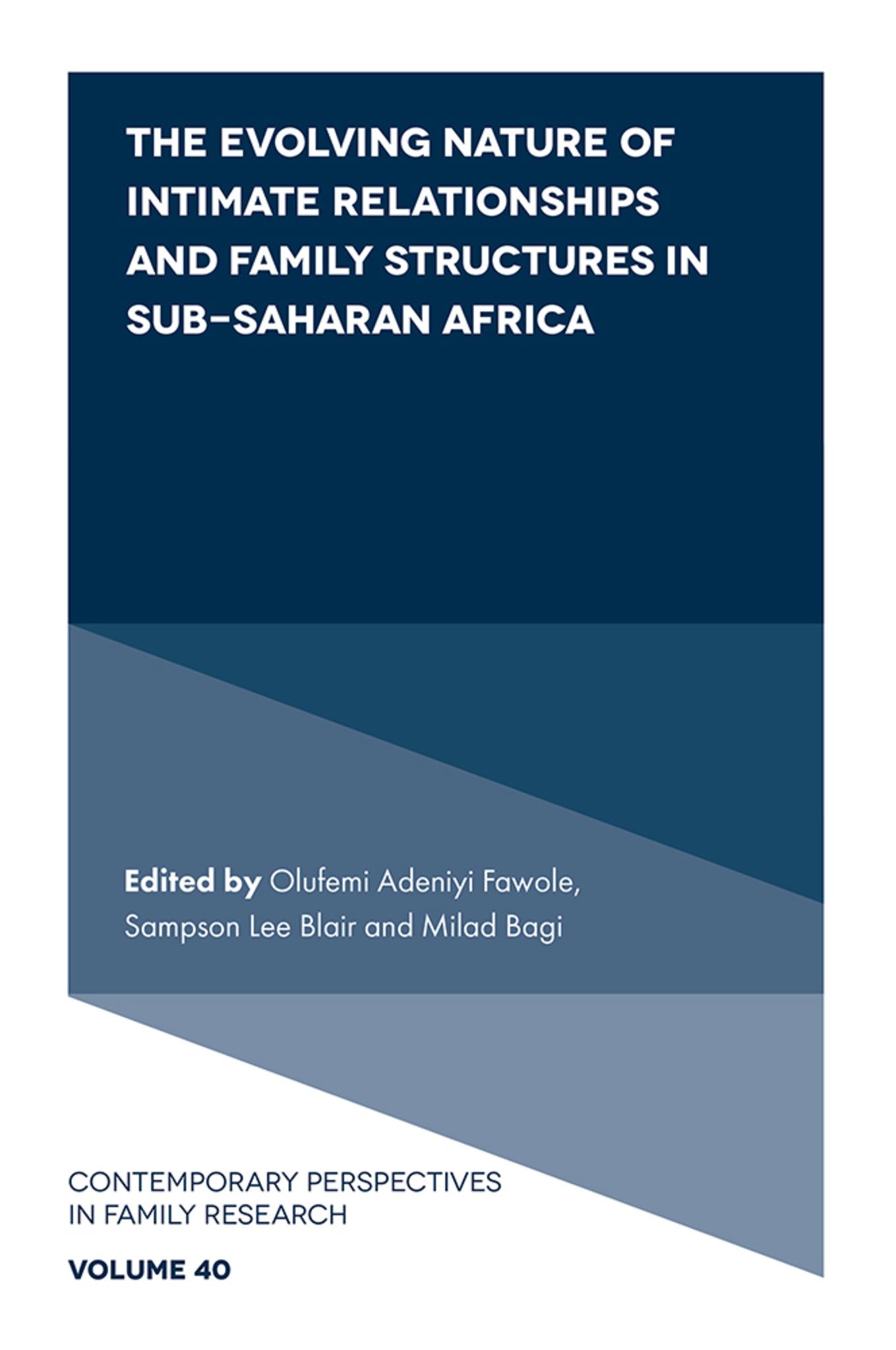 Cover image for The Evolving Nature of Intimate Relationships and Family Structures in Sub-Saharan Africa ISBN 9781808351976