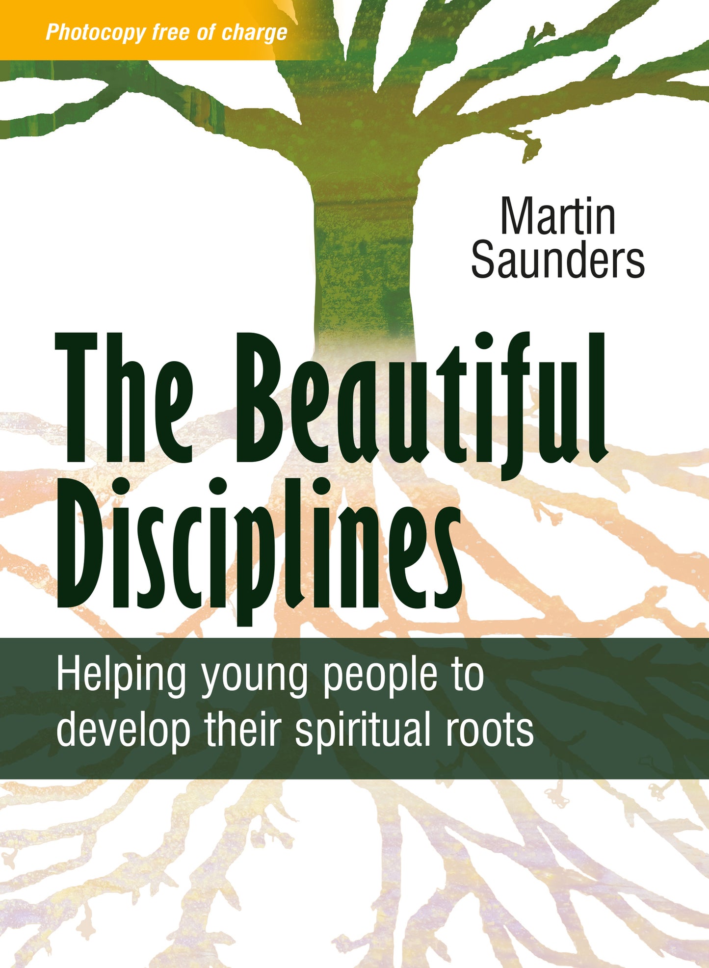The Beautiful Disciplines