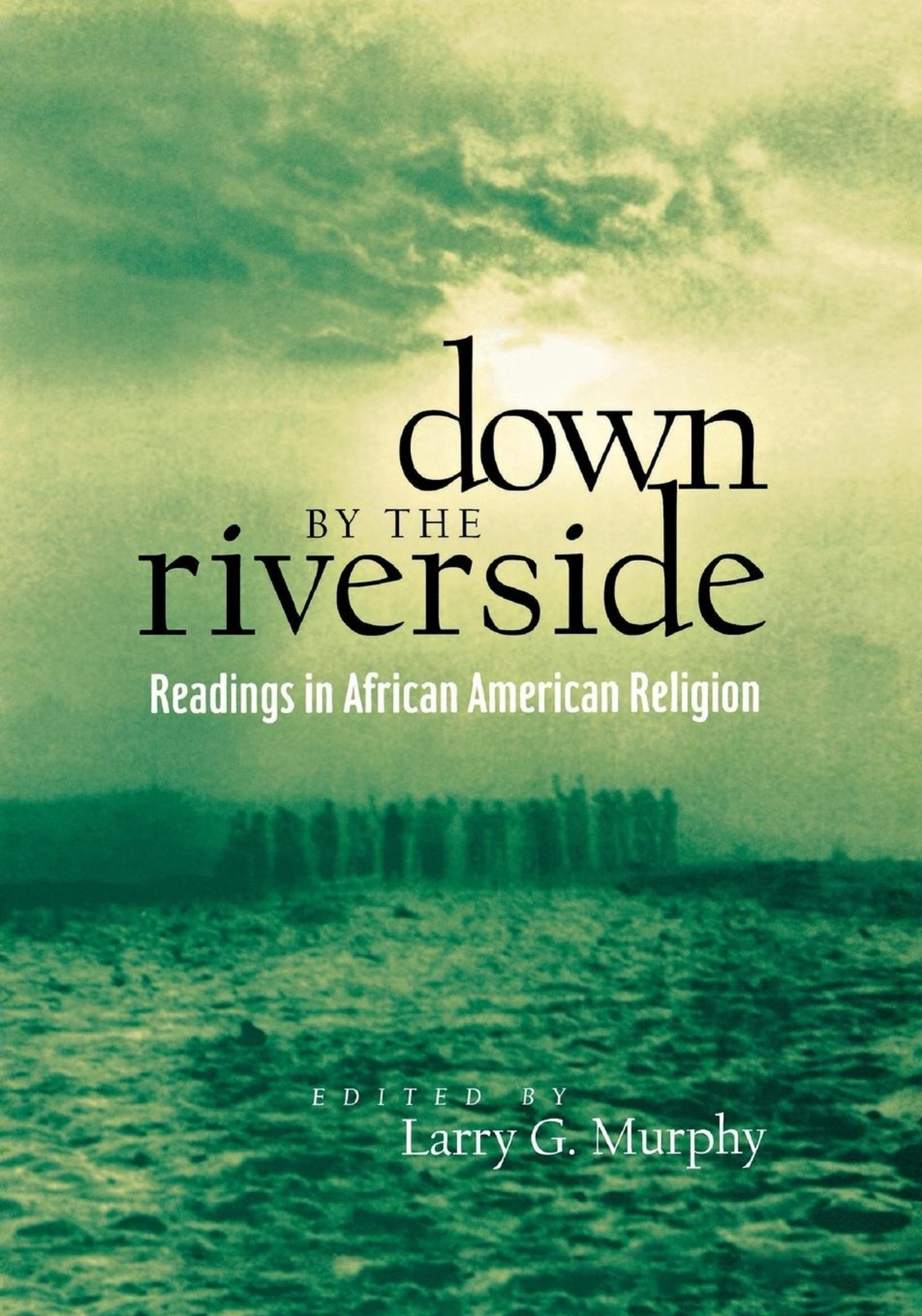 Cover image for Down by the Riverside ISBN 9780814755815