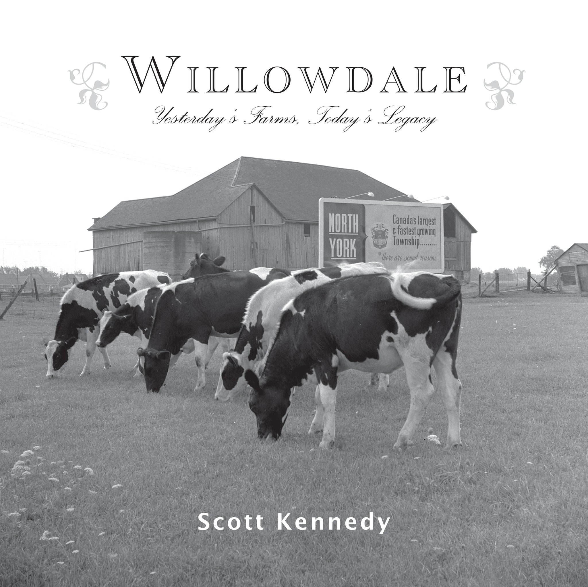 Cover image for Willowdale ISBN 9781459717503
