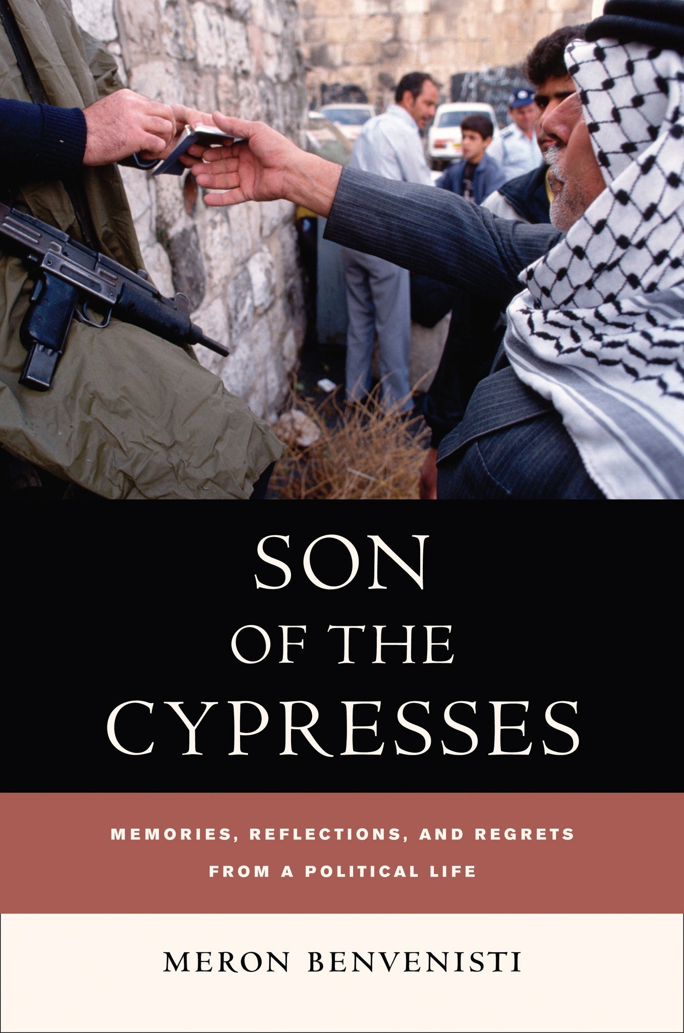 Cover image for Son of the Cypresses ISBN 9780520930018