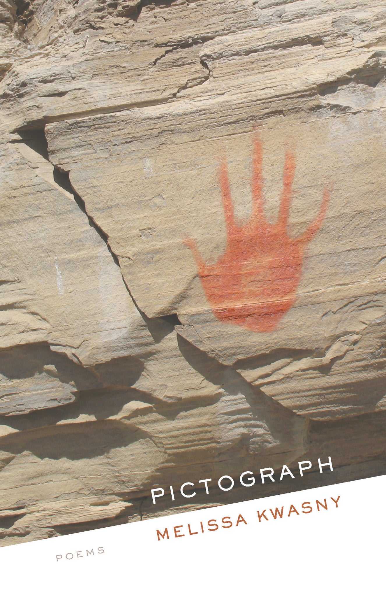 Cover image for Pictograph ISBN 9781571314628