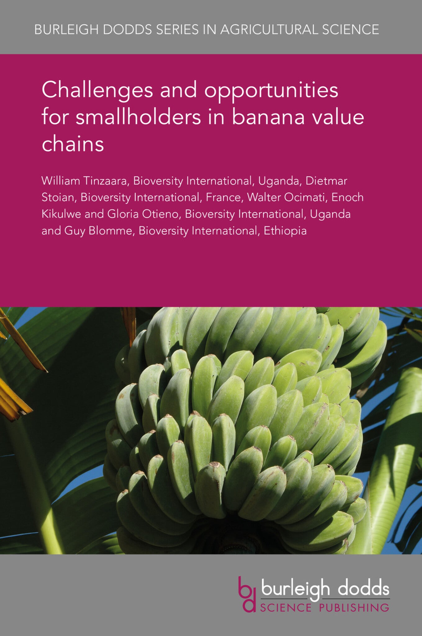Cover image for Challenges and opportunities for smallholders in banana value chains ISBN 9781838793371