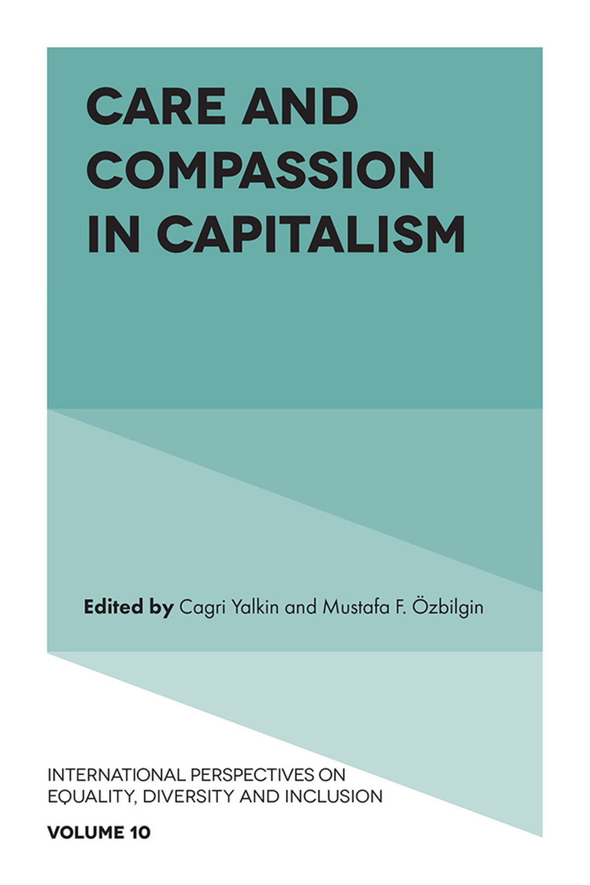 Cover image for Care and Compassion in Capitalism ISBN 9781835491492