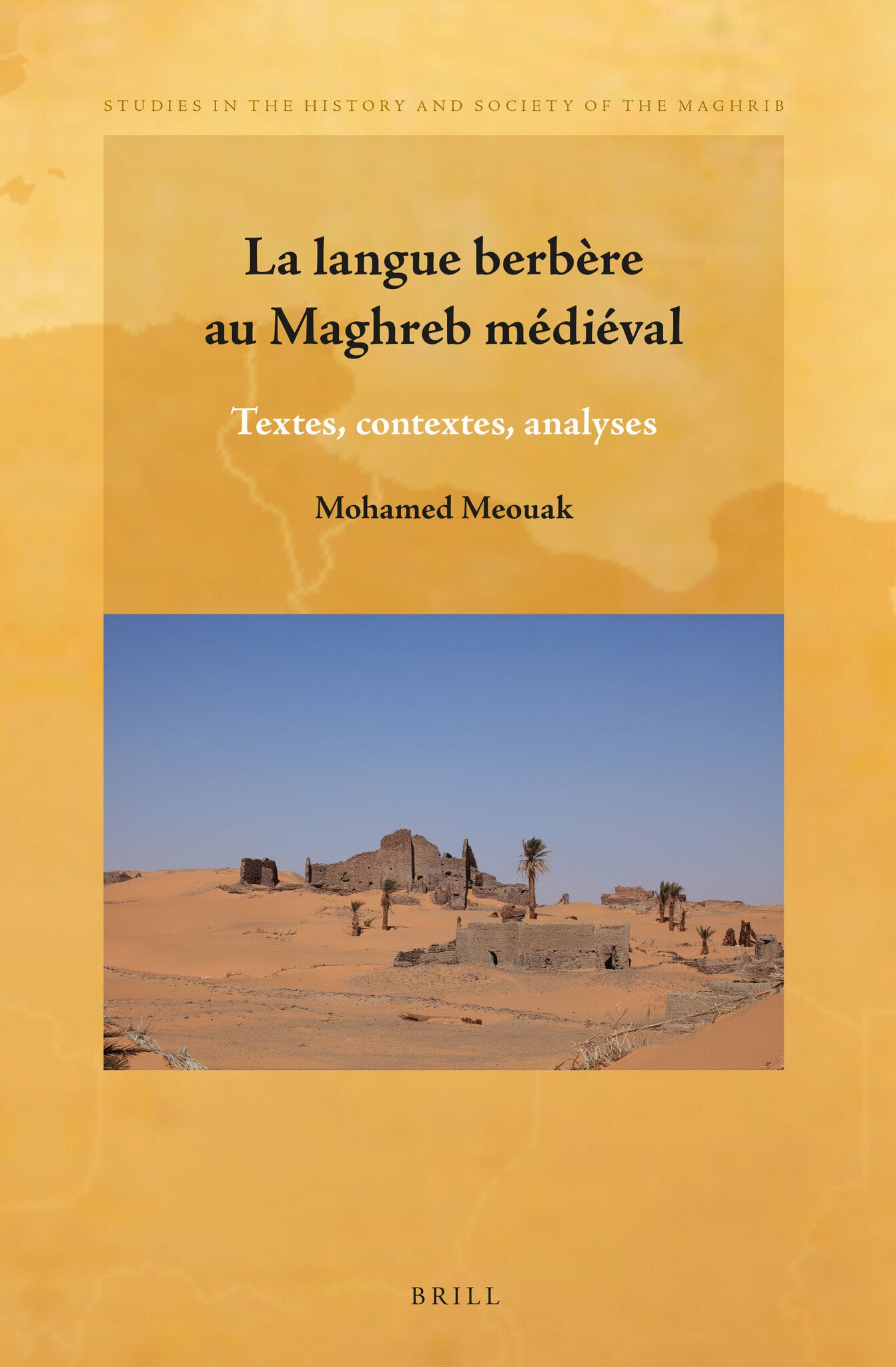 La langue berbère au Maghreb médiéval