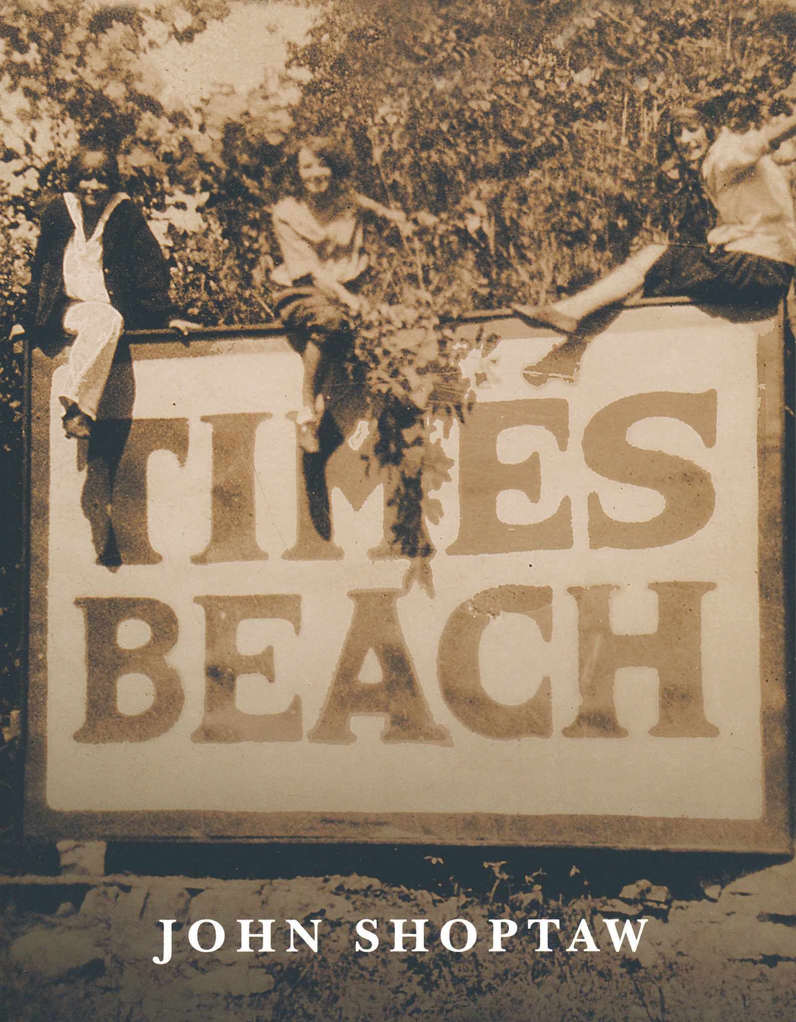 Cover image for Times Beach ISBN 9780268017859