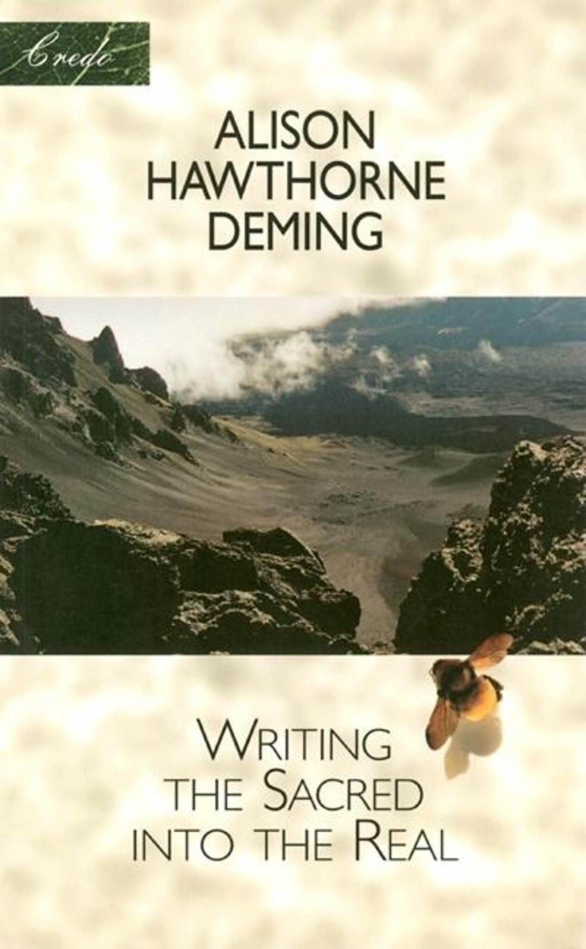 Cover image for Writing the Sacred into the Real ISBN 9781571312495
