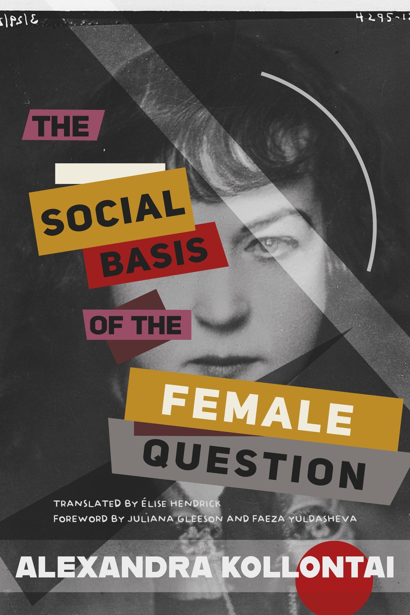 Cover image for The Social Basis of the Female Question ISBN 9798888904367
