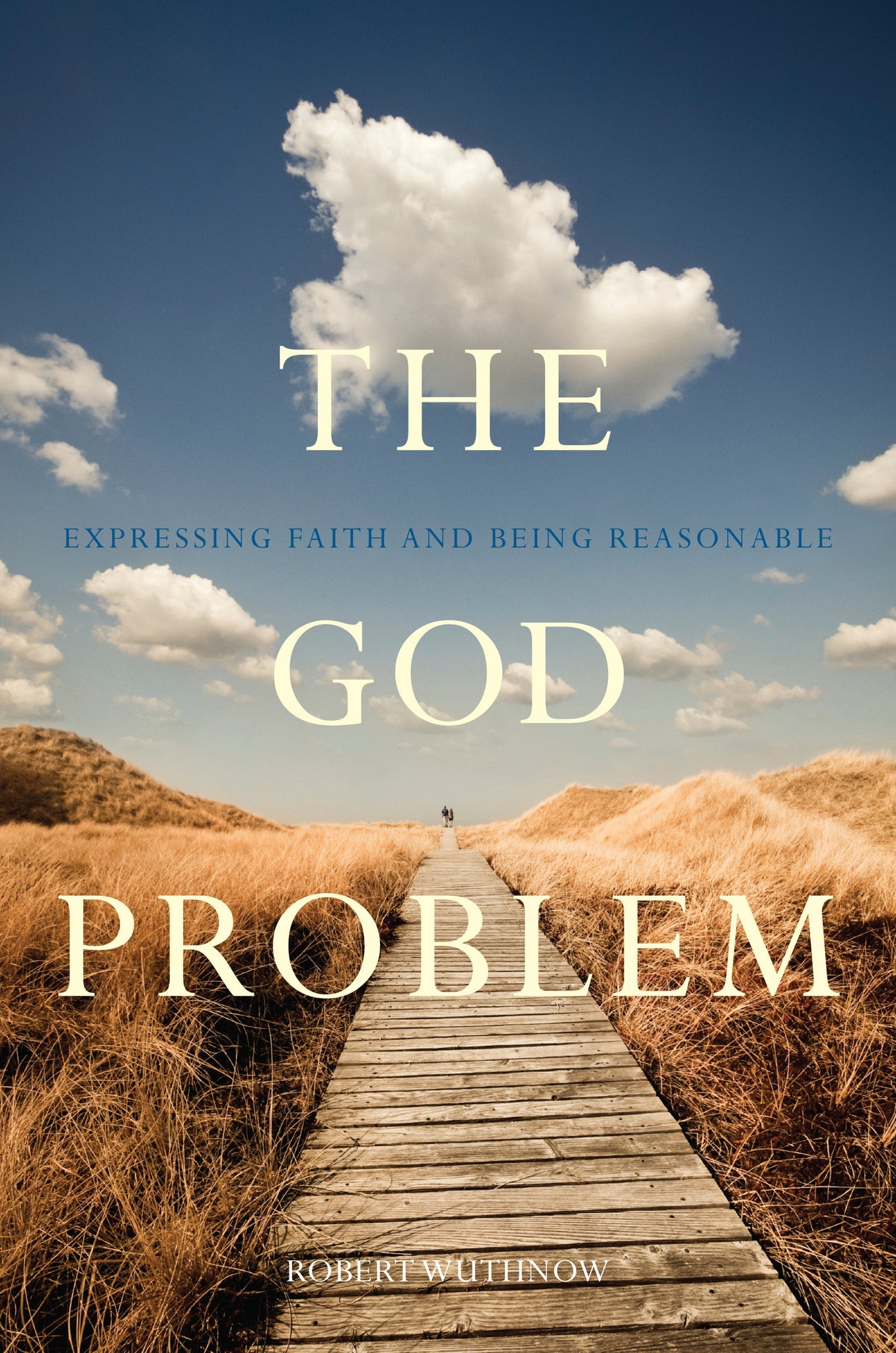 Cover image for The God Problem ISBN 9780520954267