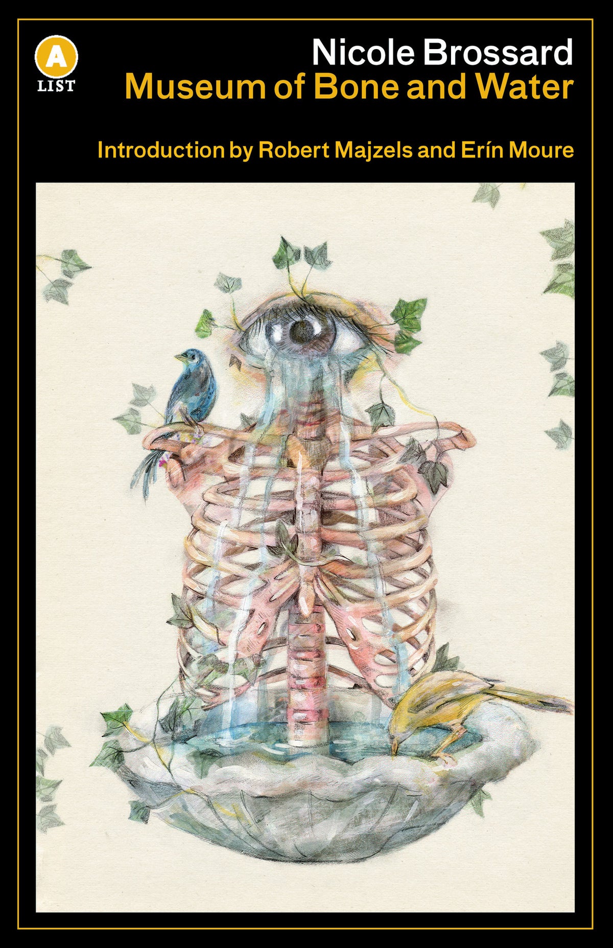 Cover image for Museum of Bone and Water ISBN 9781487008093