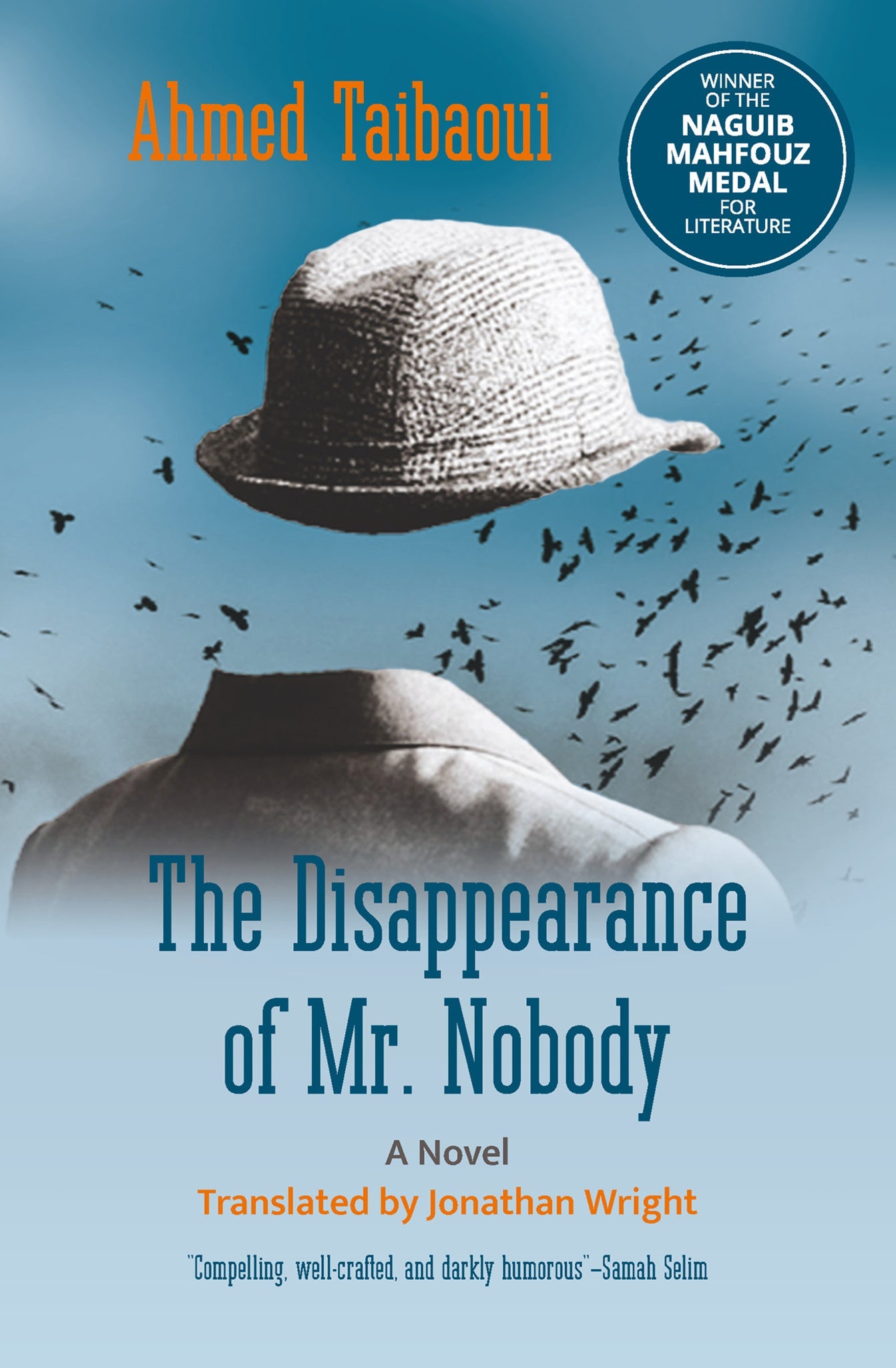 Cover image for The Disappearance of Mr. Nobody: ISBN 9781649032164