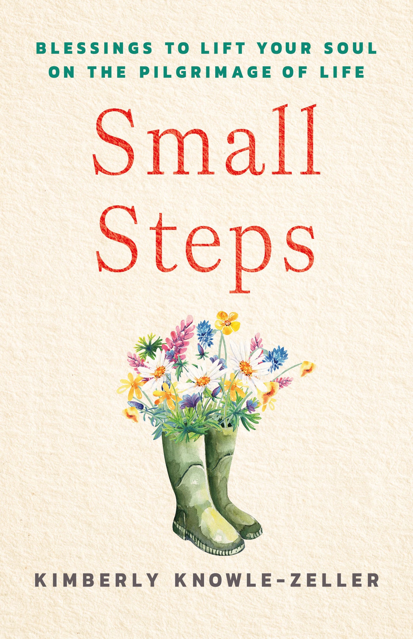 Cover image for Small Steps ISBN 9781640659520